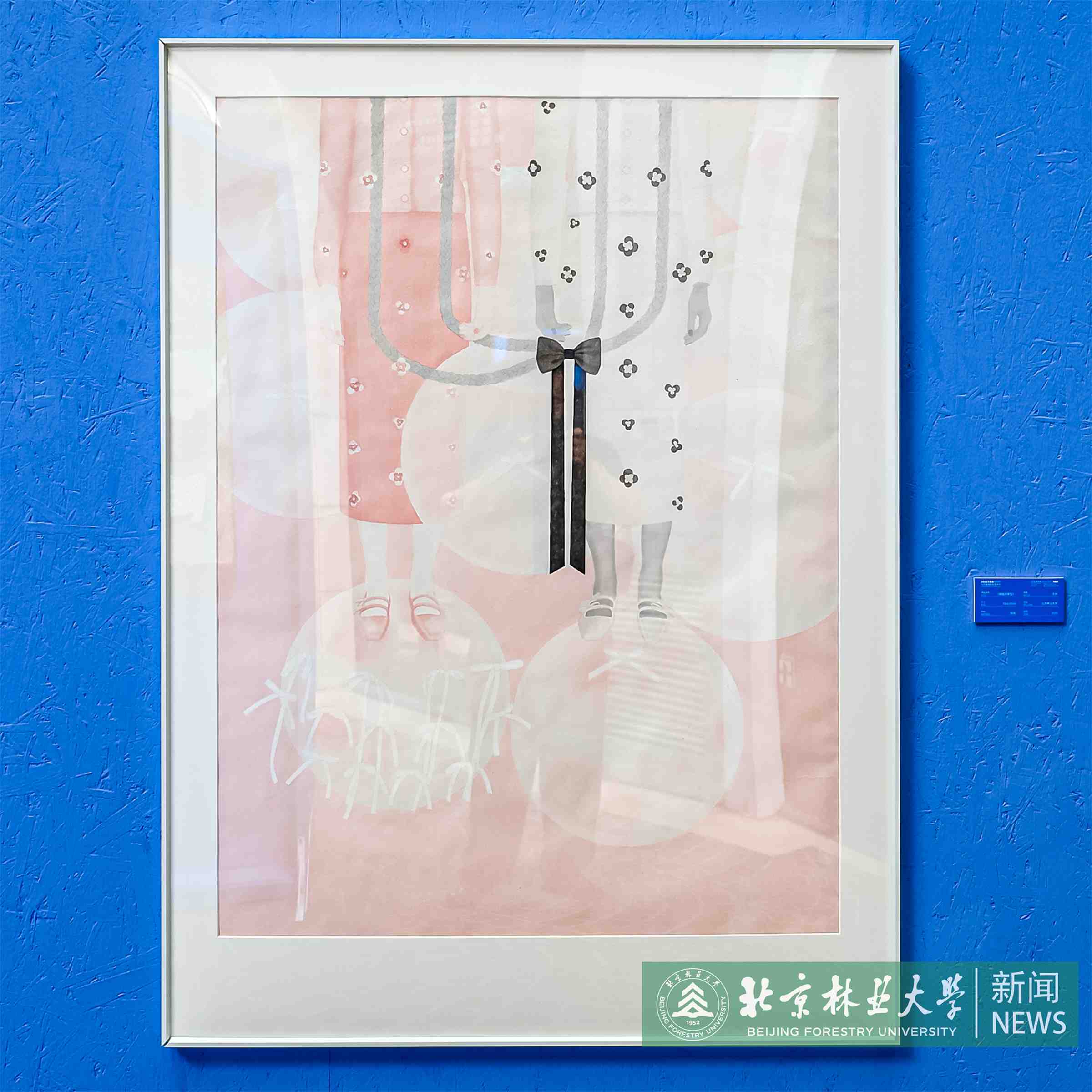 HNAN2942.JPG~tplv-9lv23dm2t1-image.jpg
