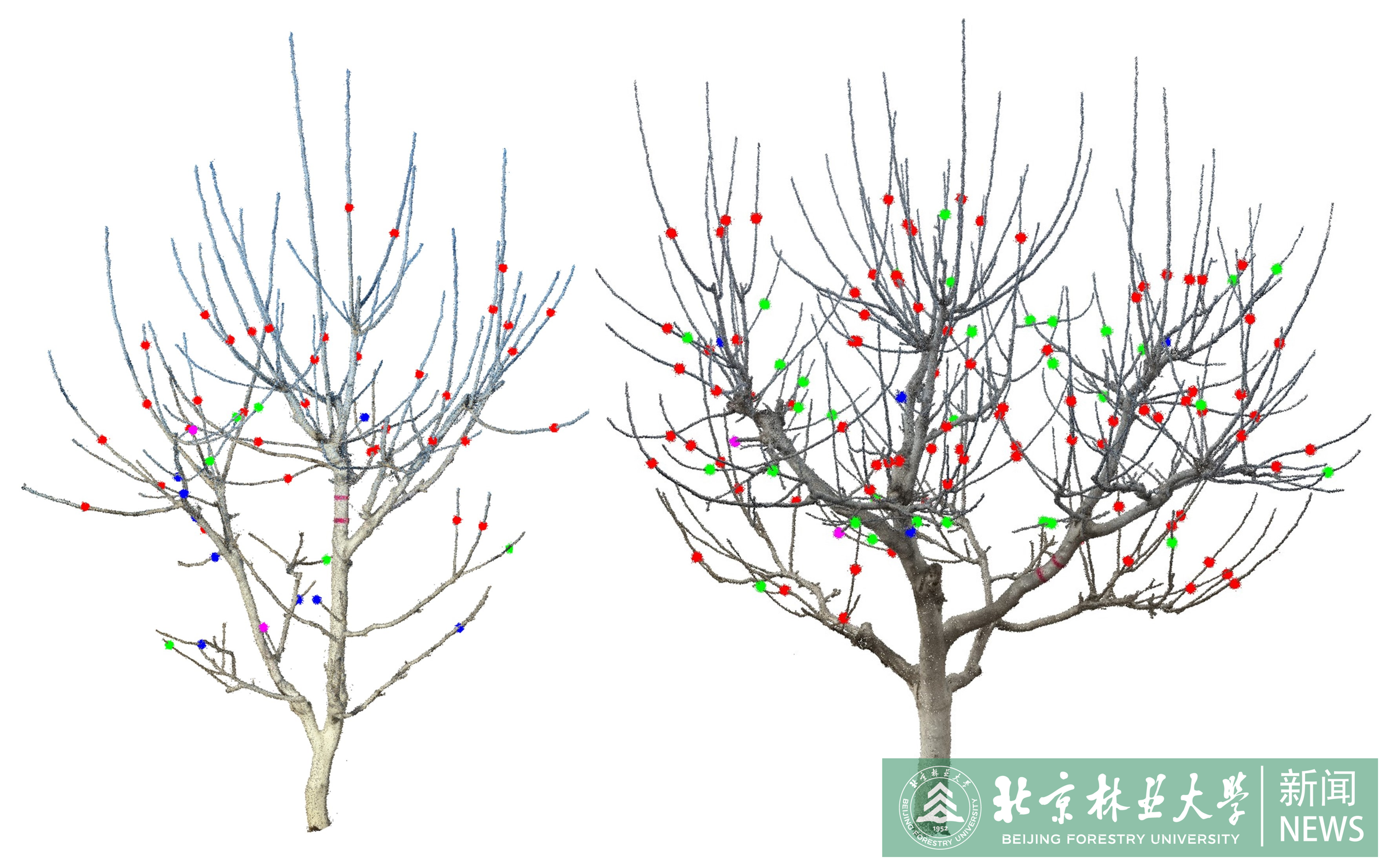 4.图四.png