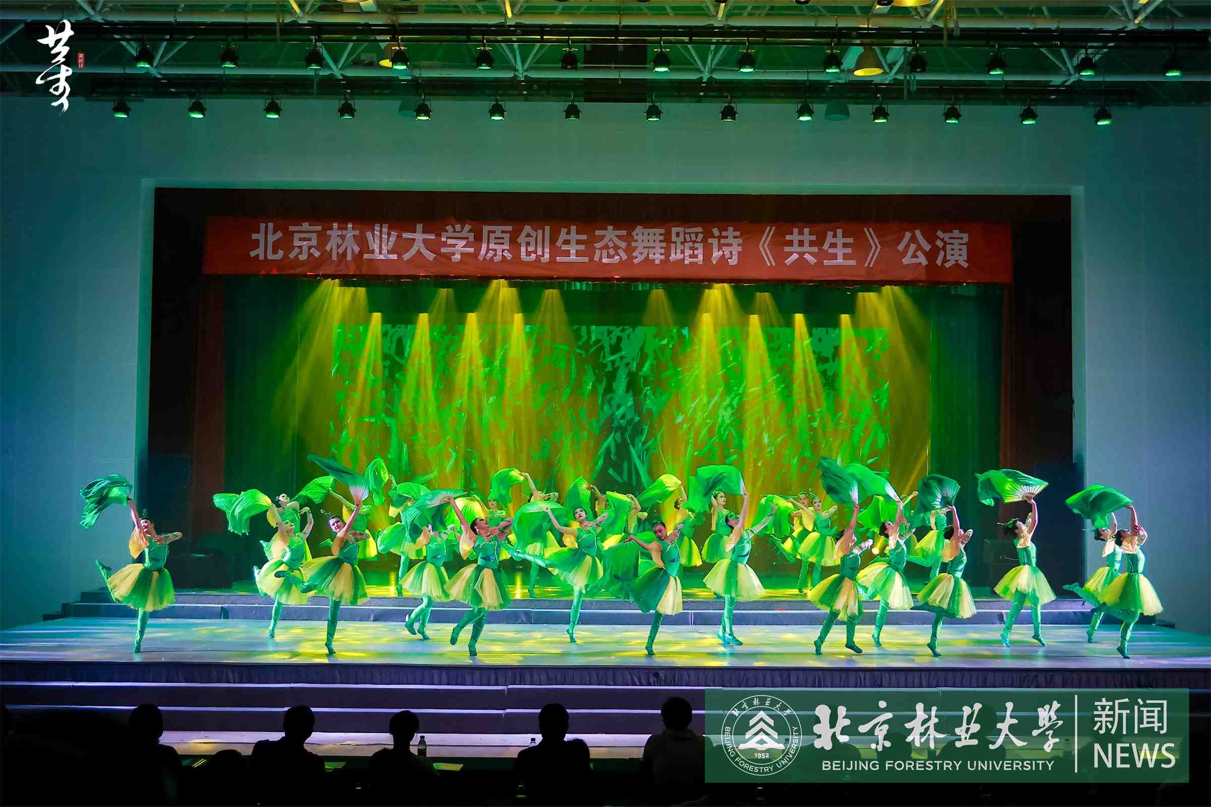草.JPG