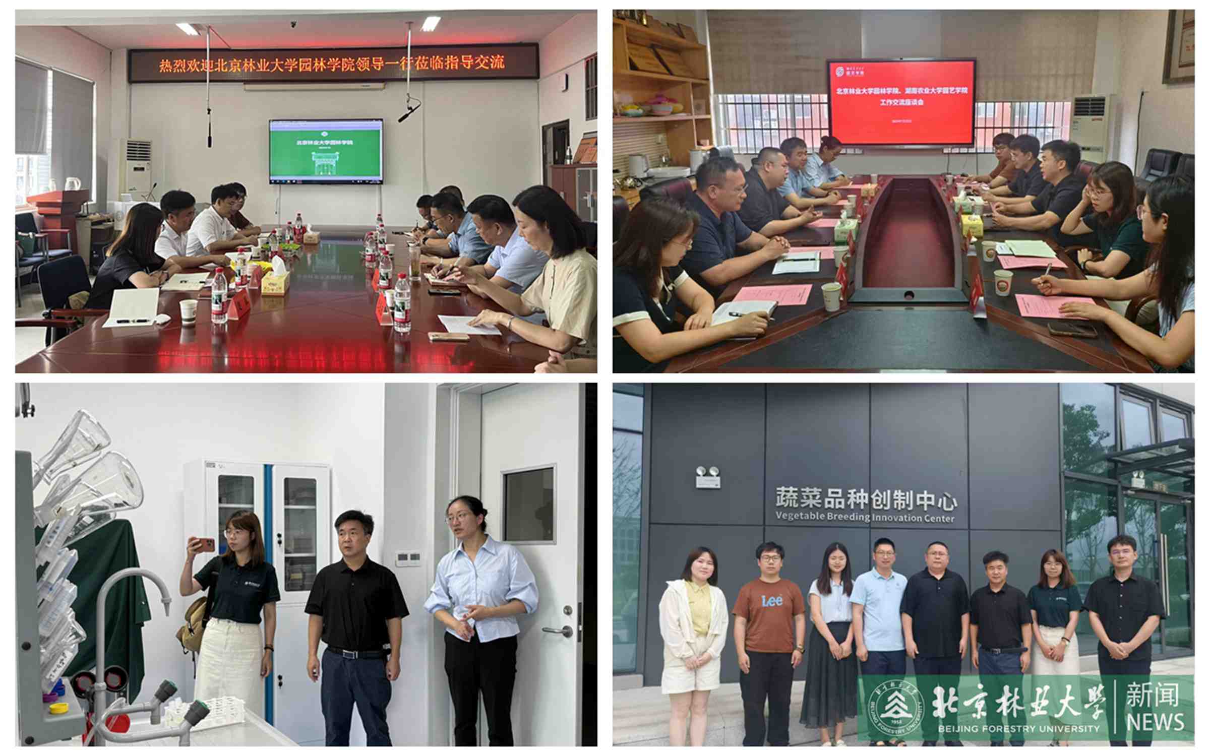 拼图.jpg