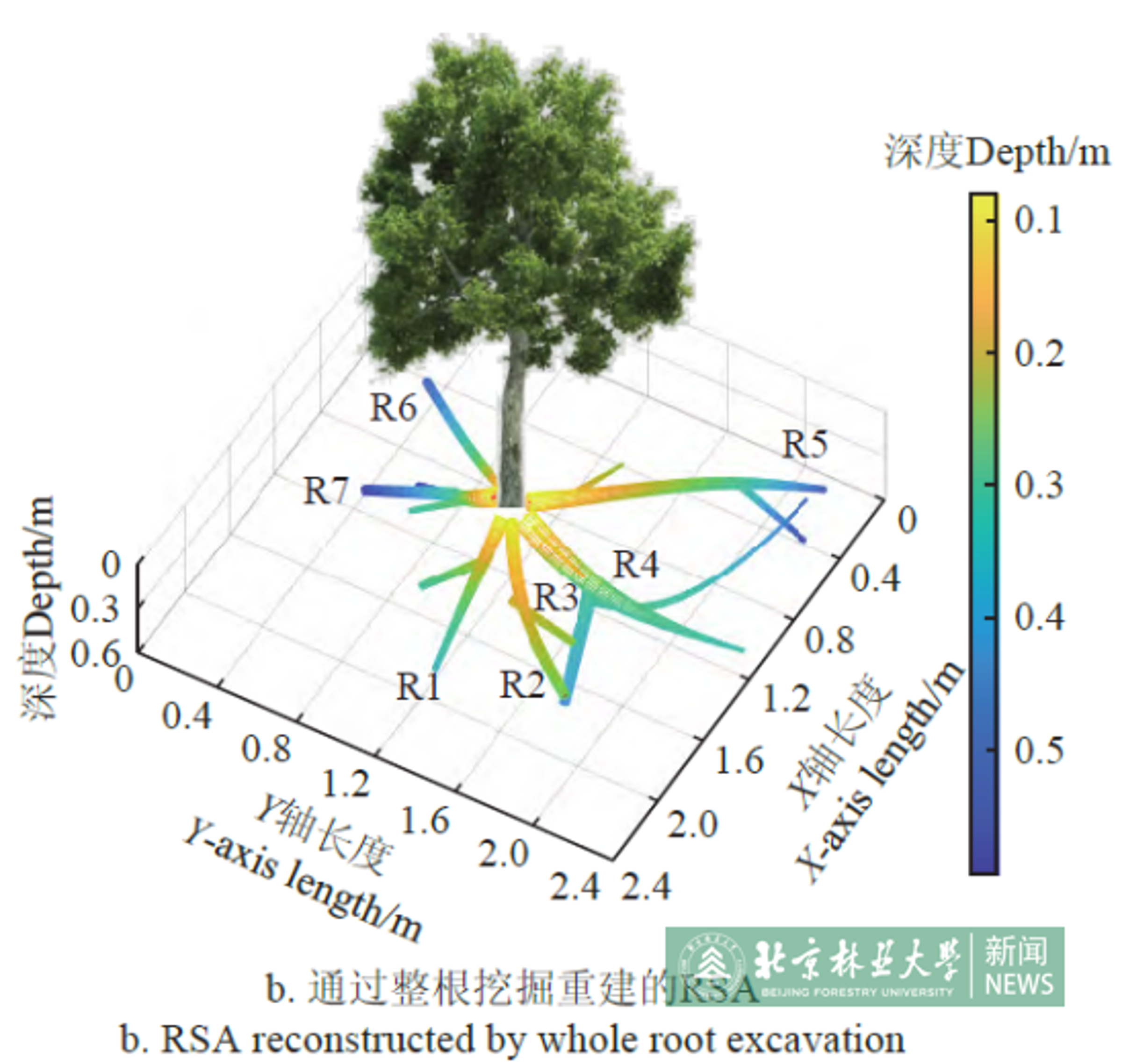 图片 3.png