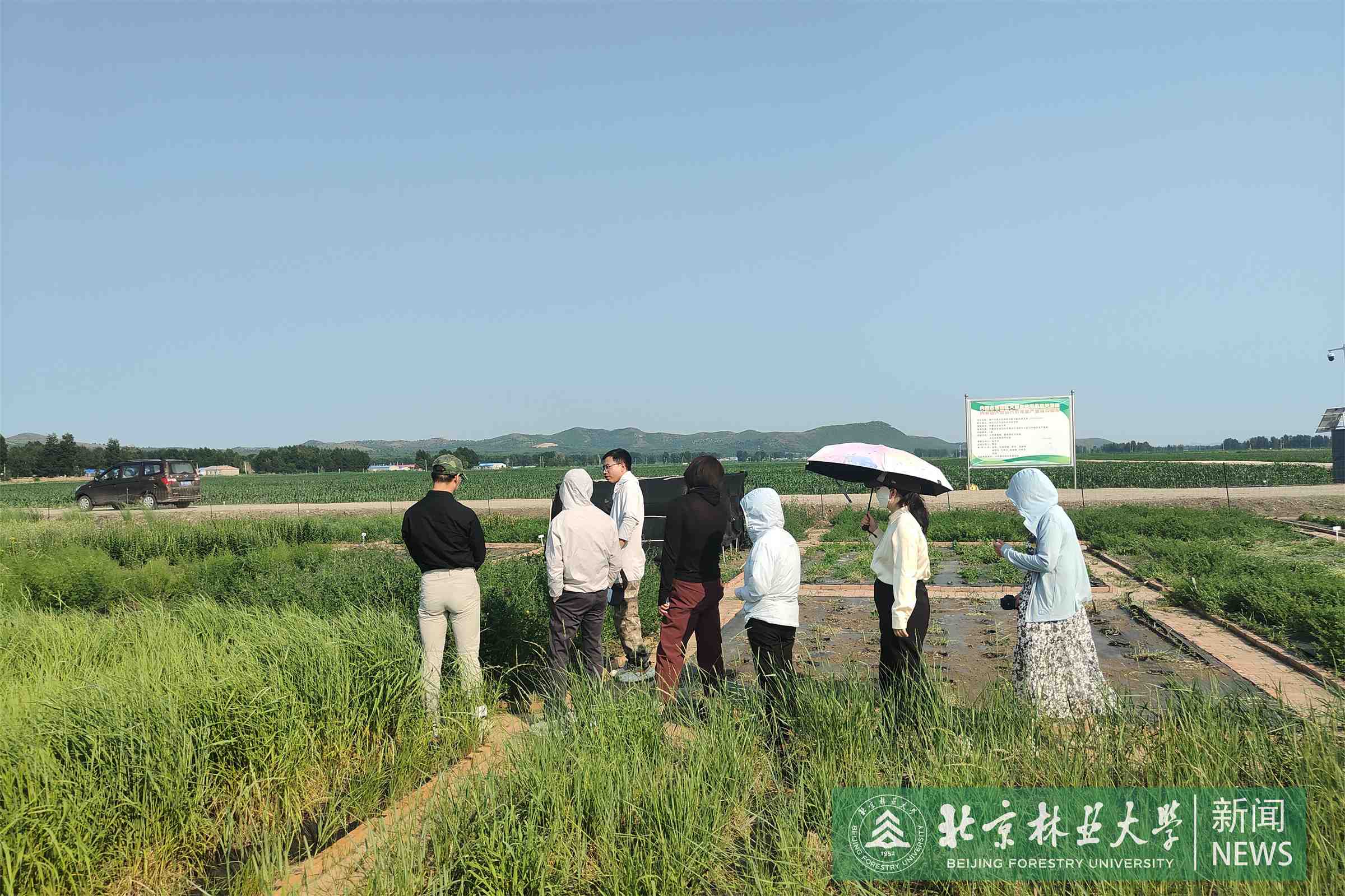 图四-1.jpg