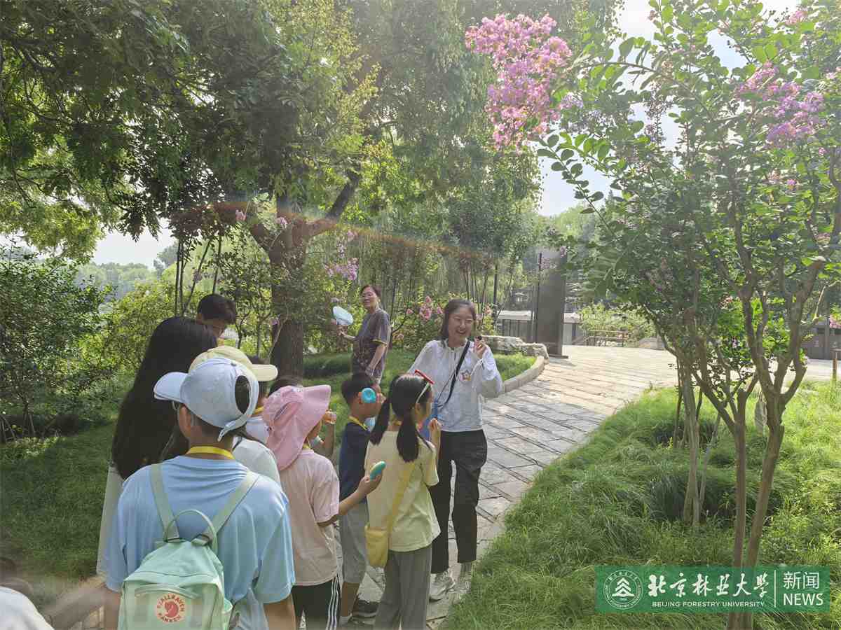 室外知识讲解.jpg