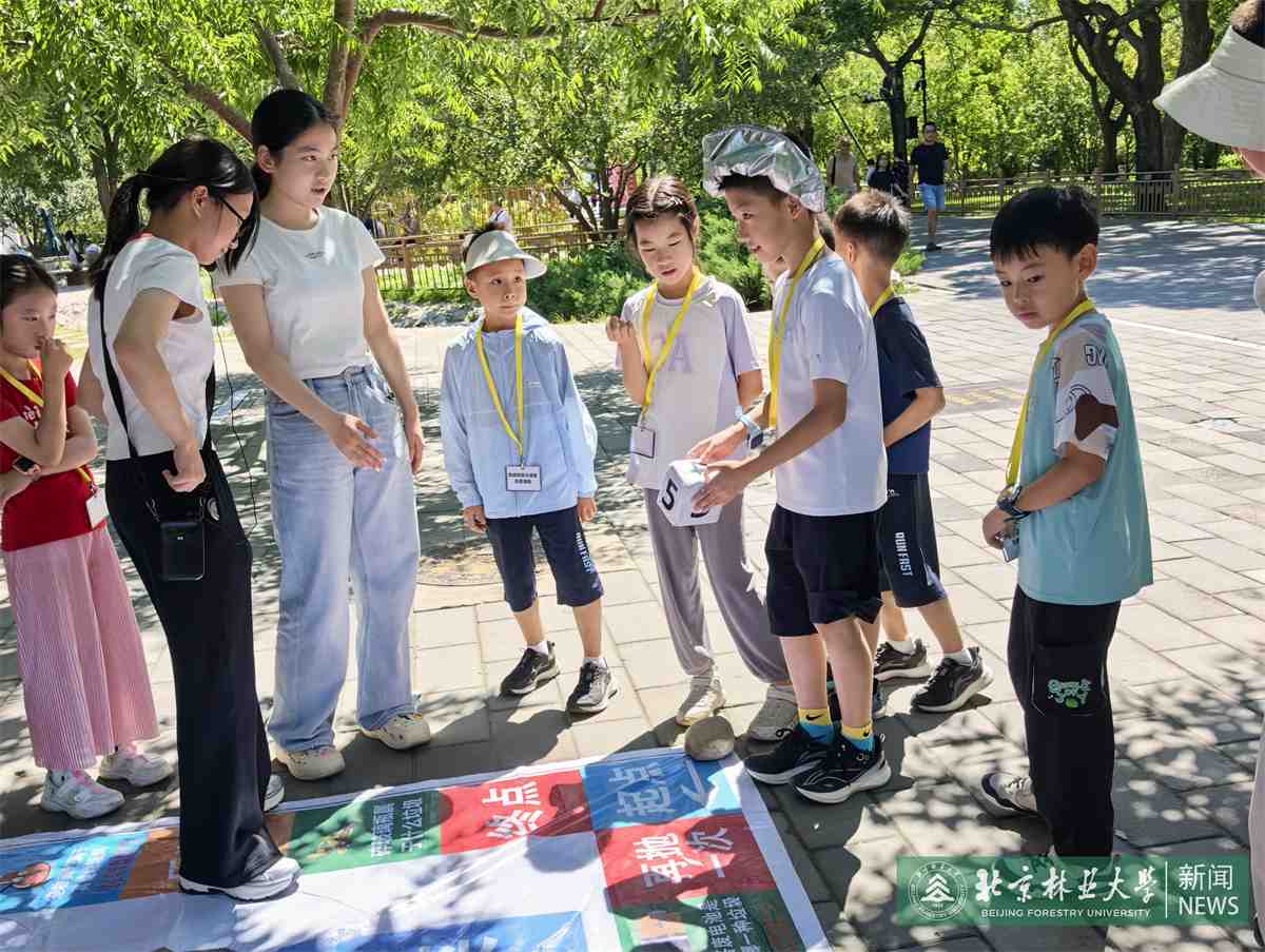 垃圾分类小活动.jpg