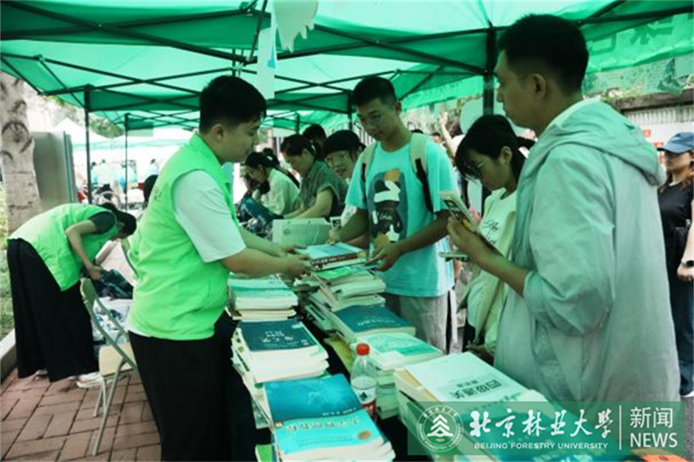 绿色通道5.png