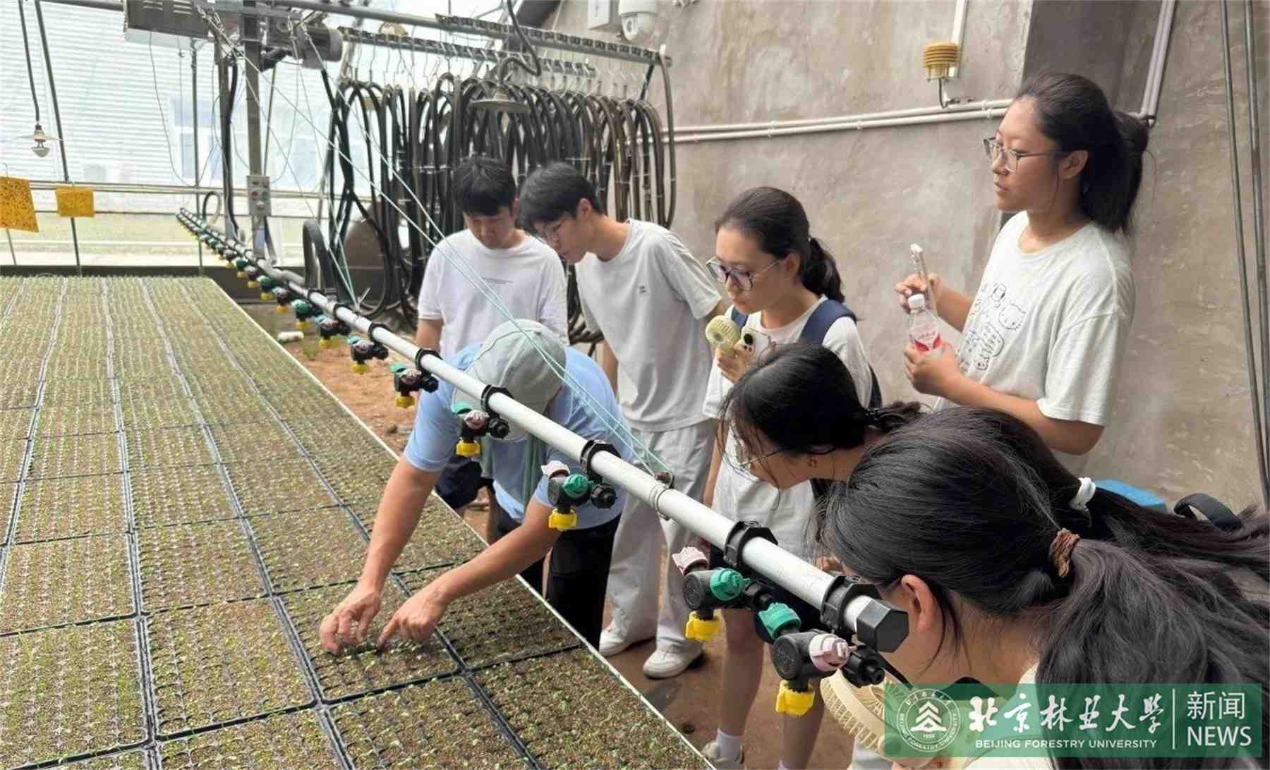 微信图片_20250731151151_副本.jpg
