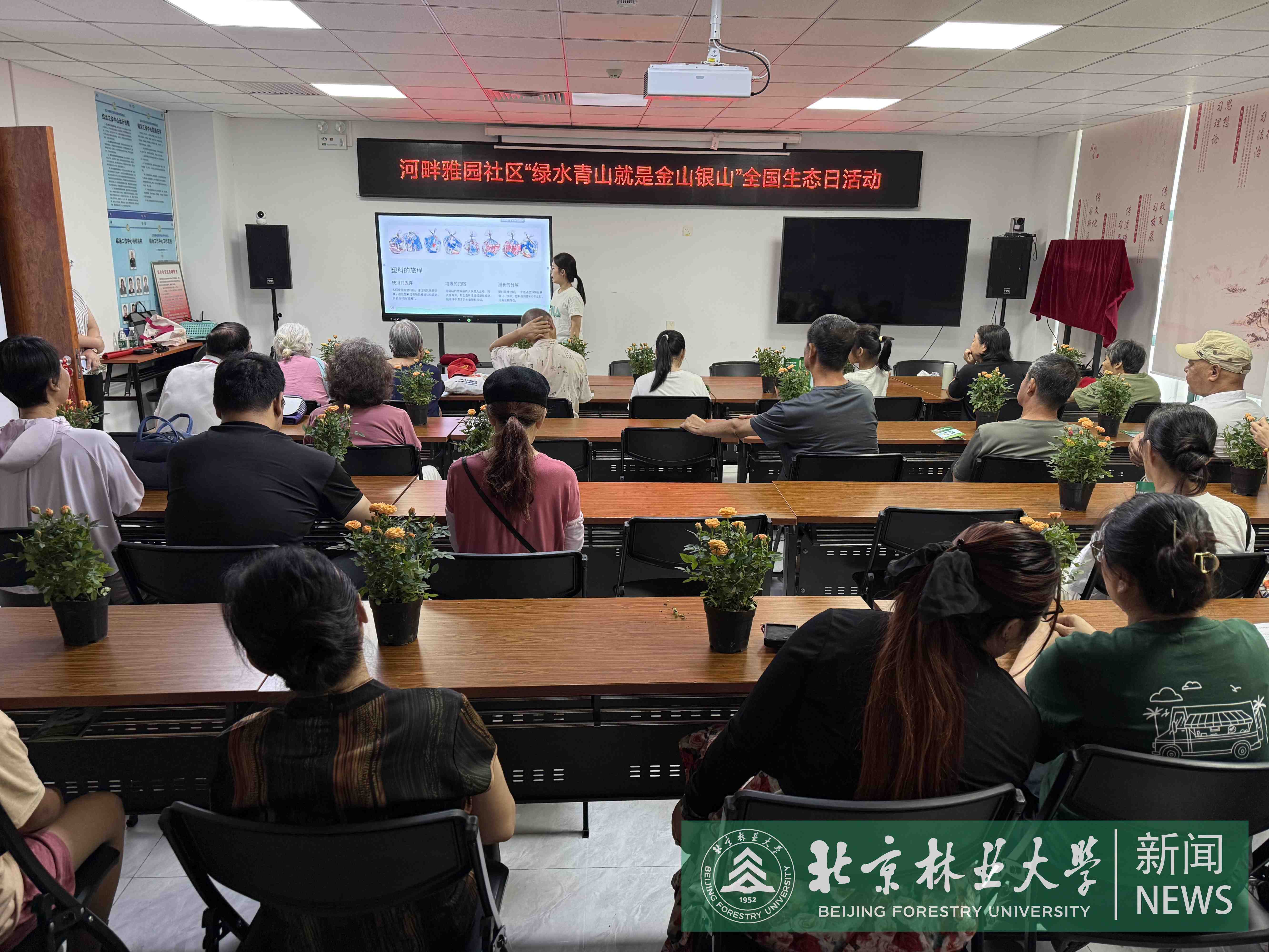 图5-王子宇.jpg