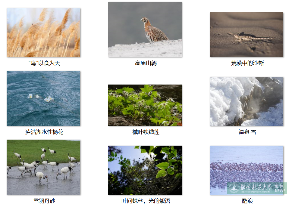 微信图片_20250817222636_22_28.png