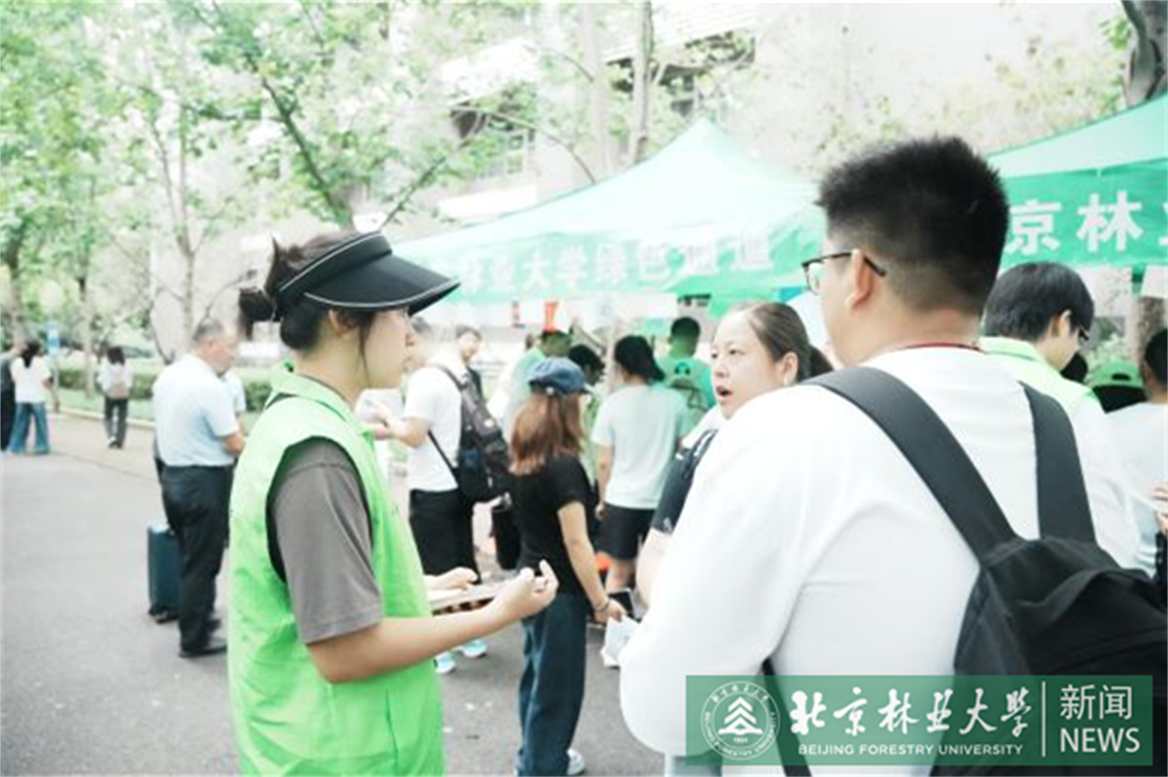 绿色通道4.png
