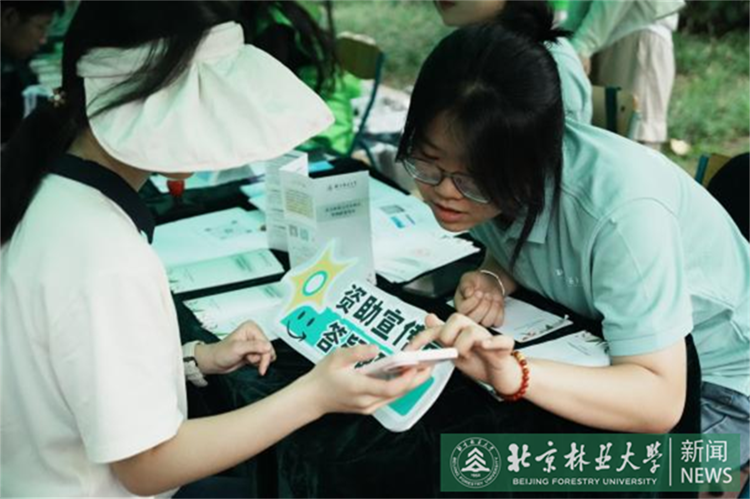 绿色通道6.png