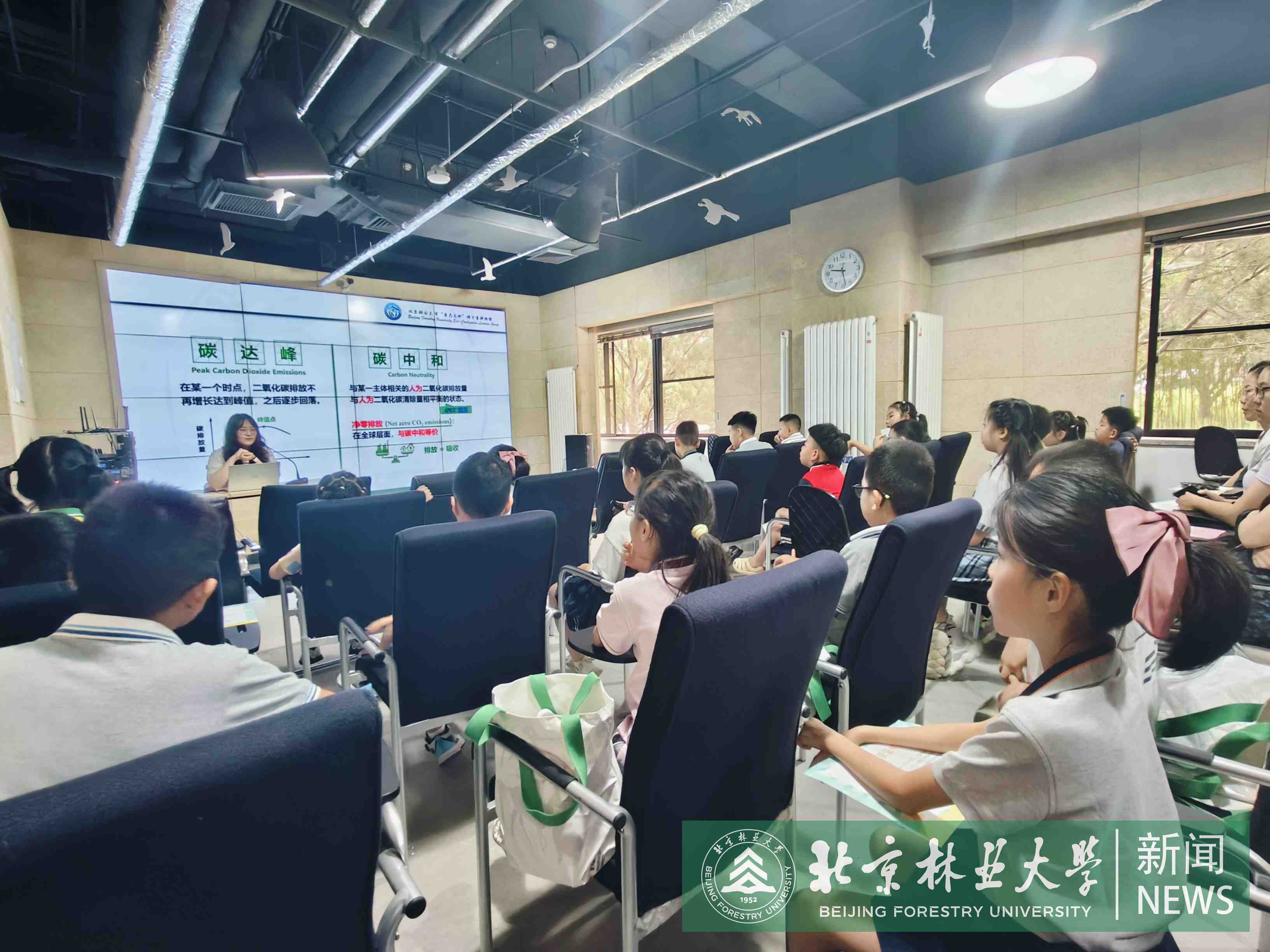 图1-许茜茜.jpg