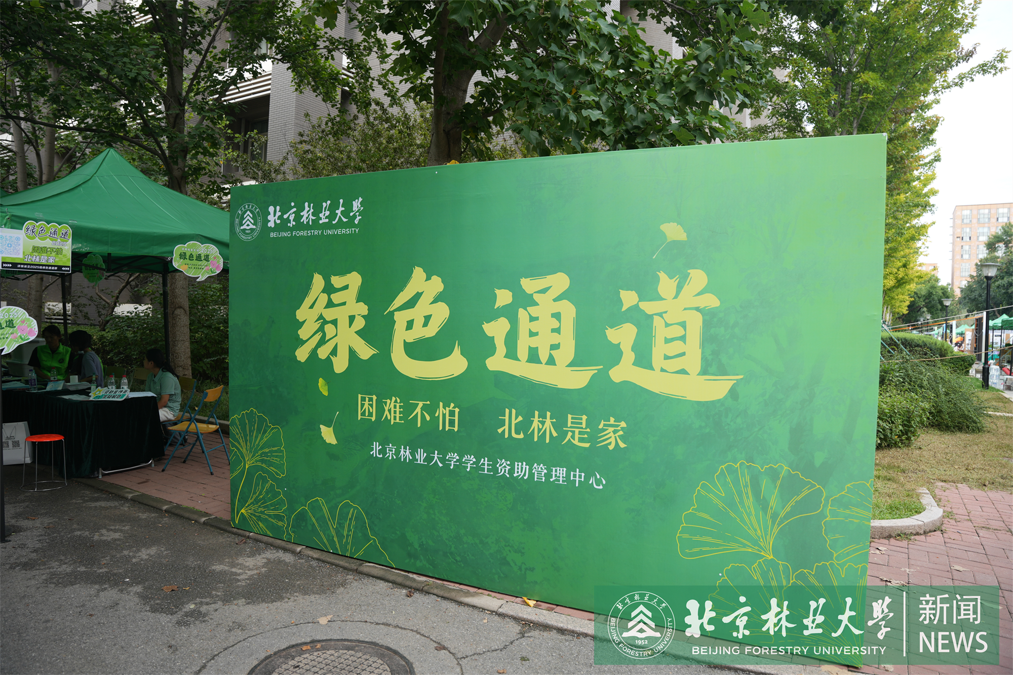 绿色通道1.png