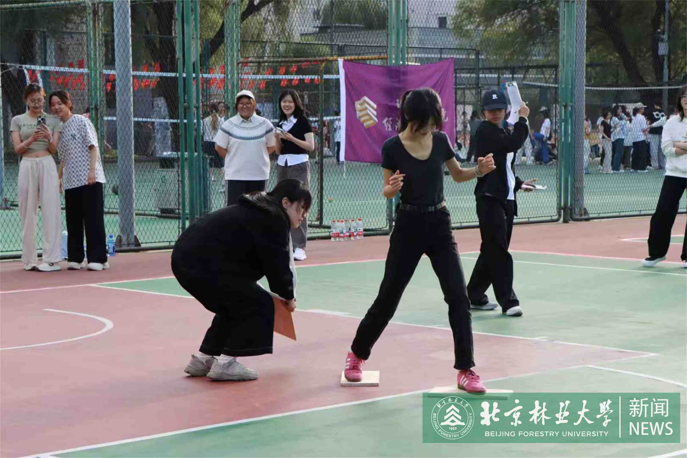 搭桥过河项目.jpg