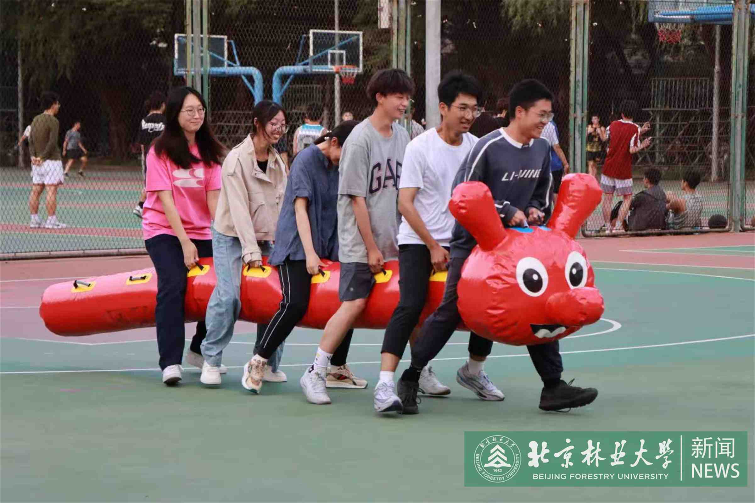 毛毛虫项目.jpg