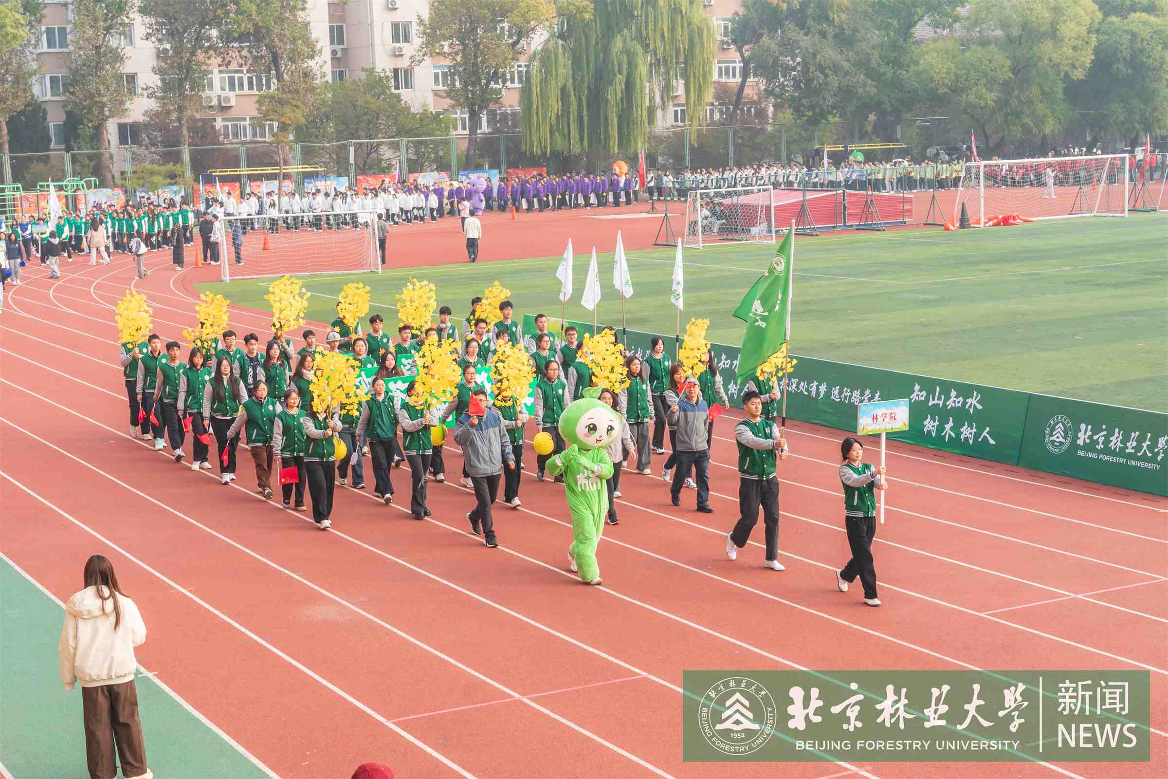 运动会-00038.jpg