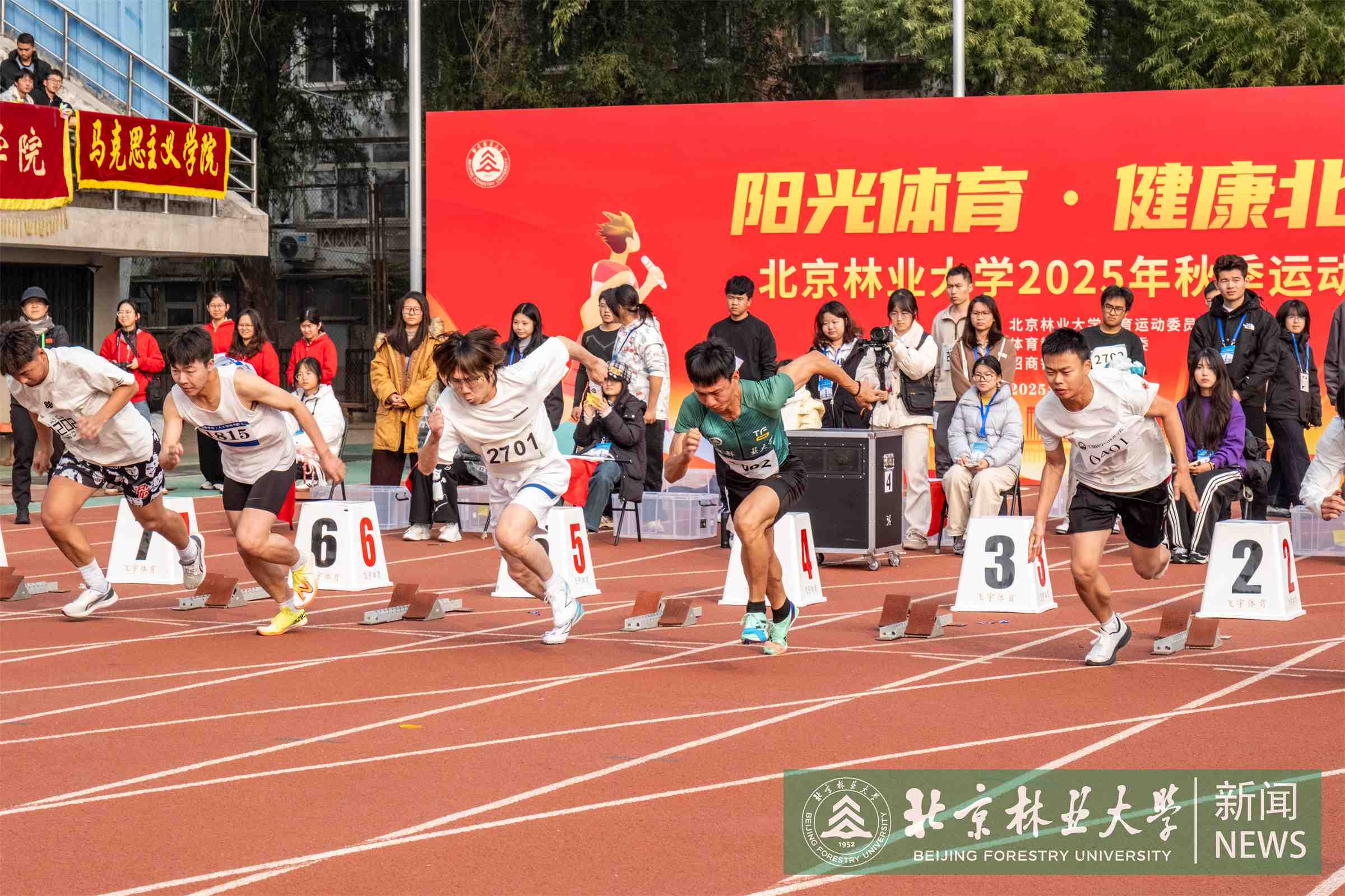比赛1.jpg