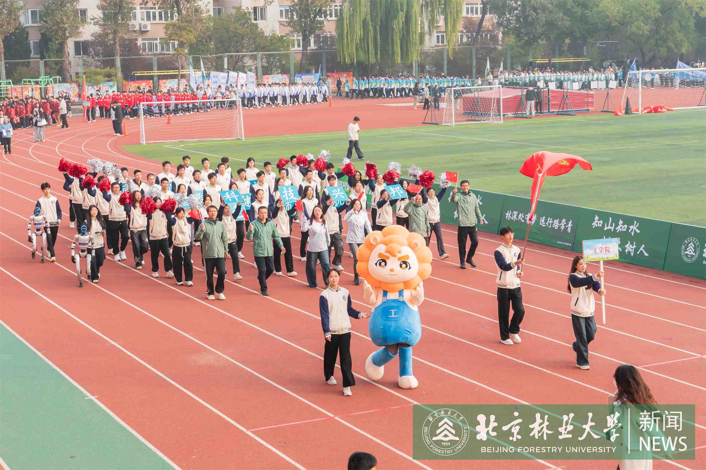 运动会-00092.jpg