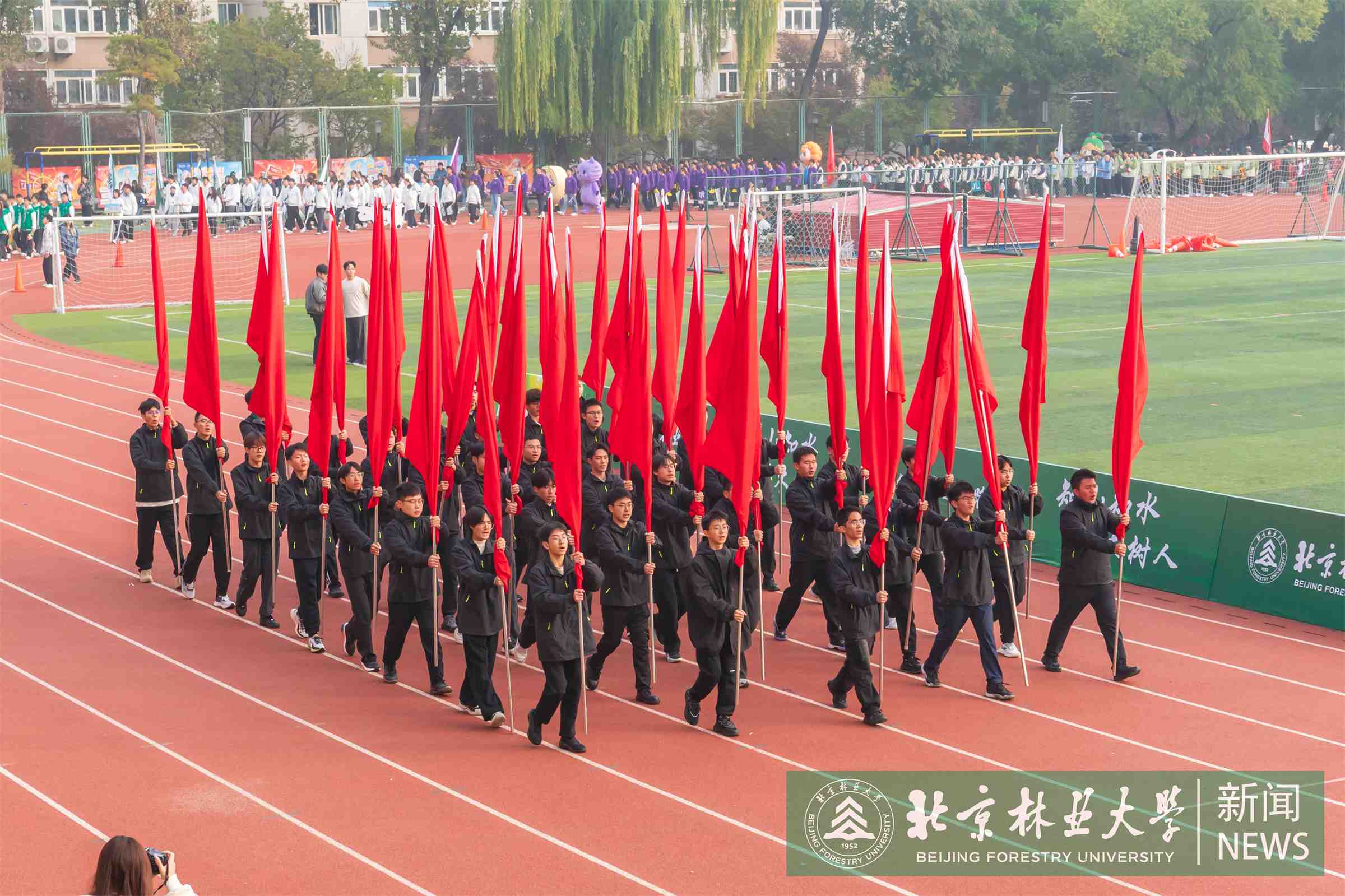 运动会-00033.jpg