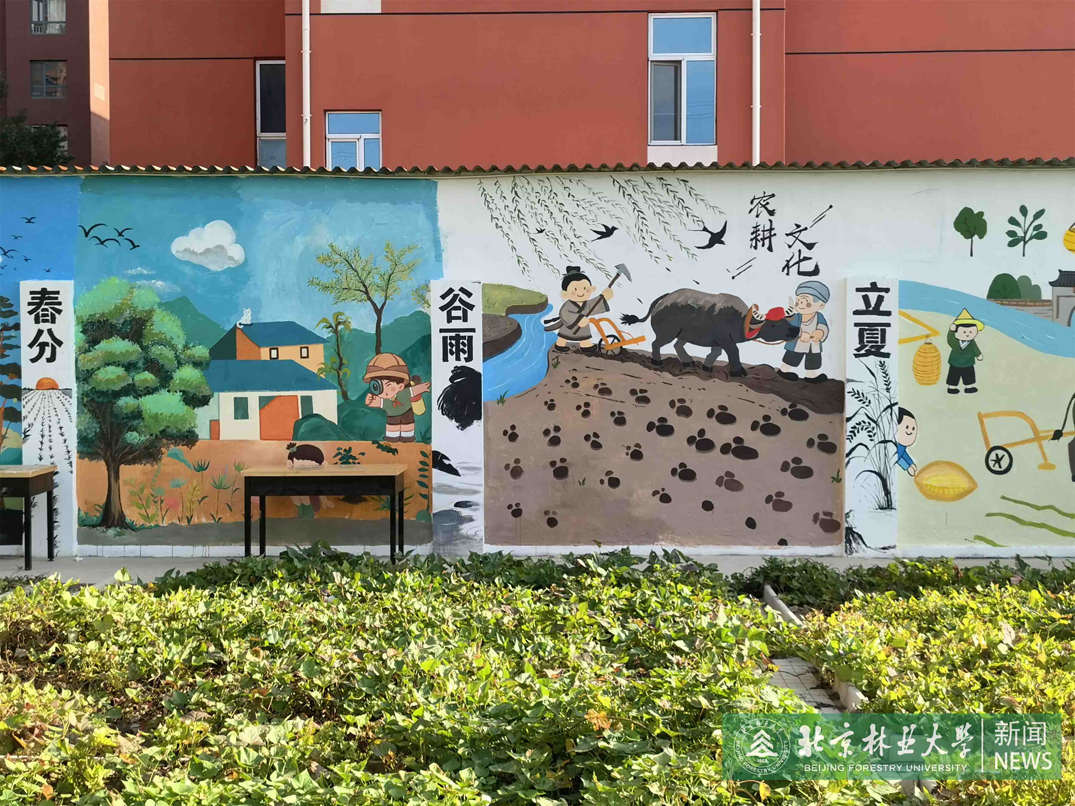 图3.jpg