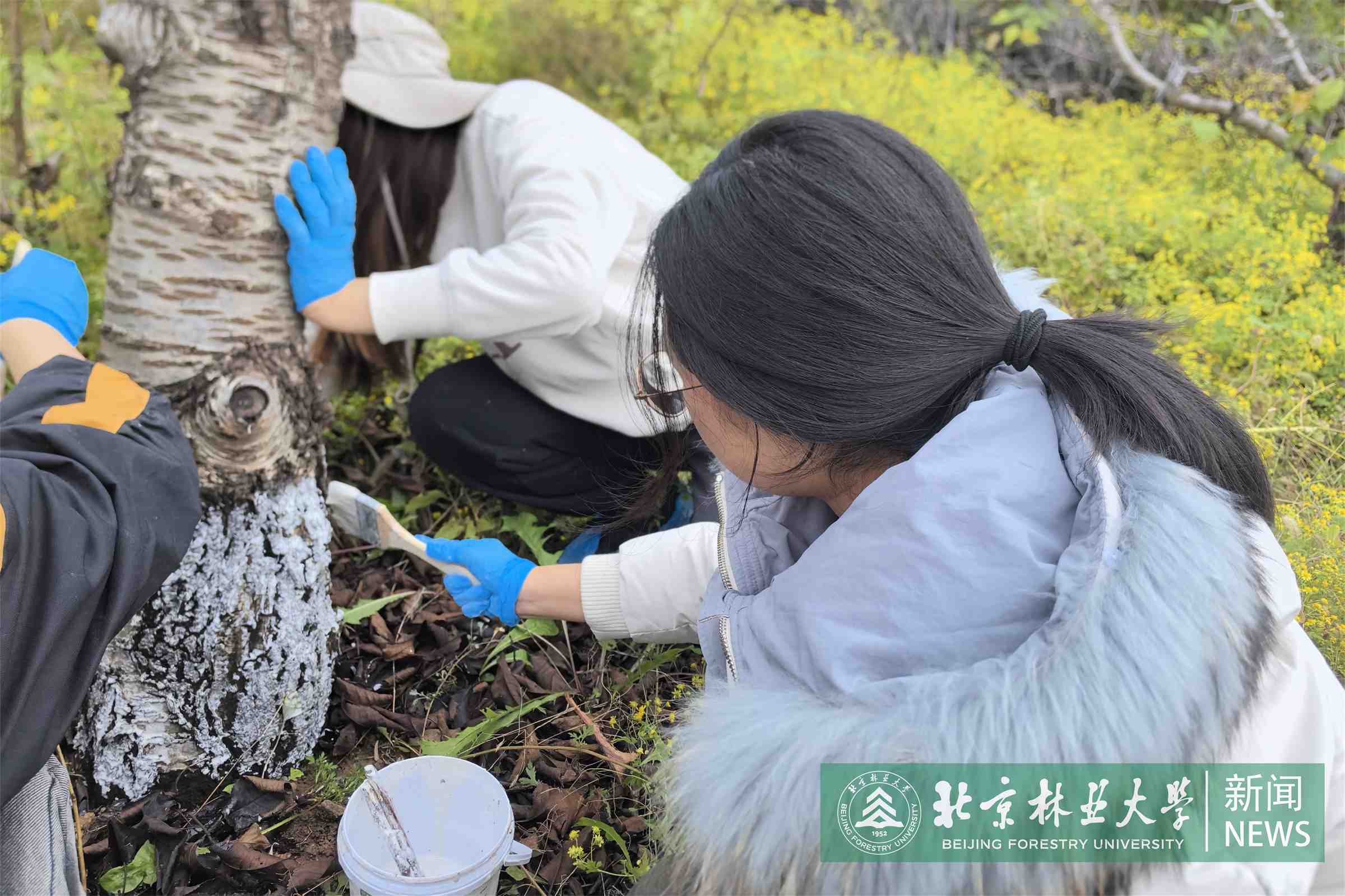照片2.jpg
