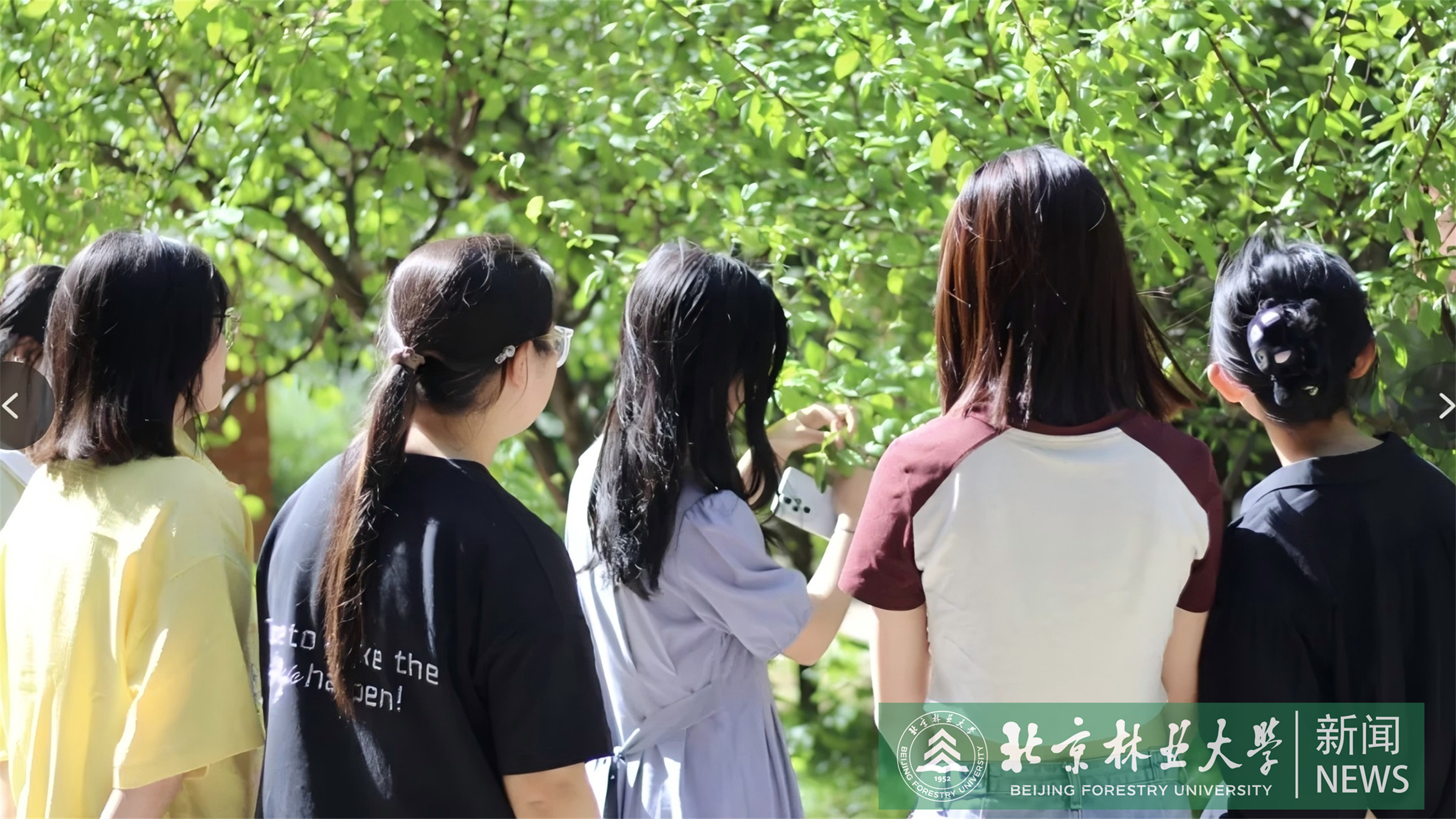 微信图片_20251203092714_363_195.jpg