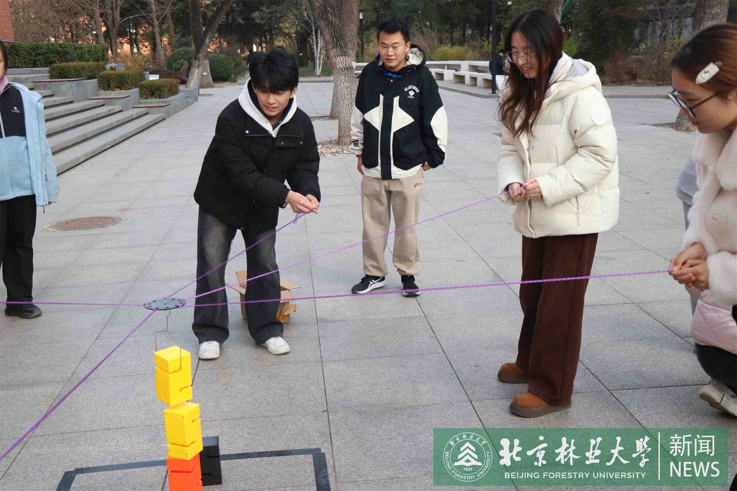 插图3.JPG