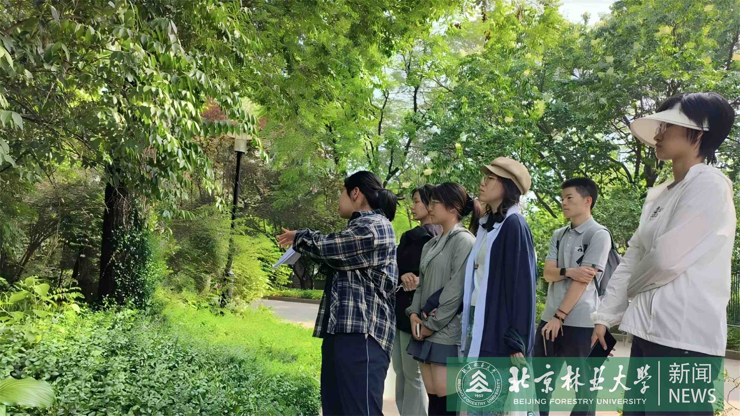 微信图片_20251203092545_360_195.jpg