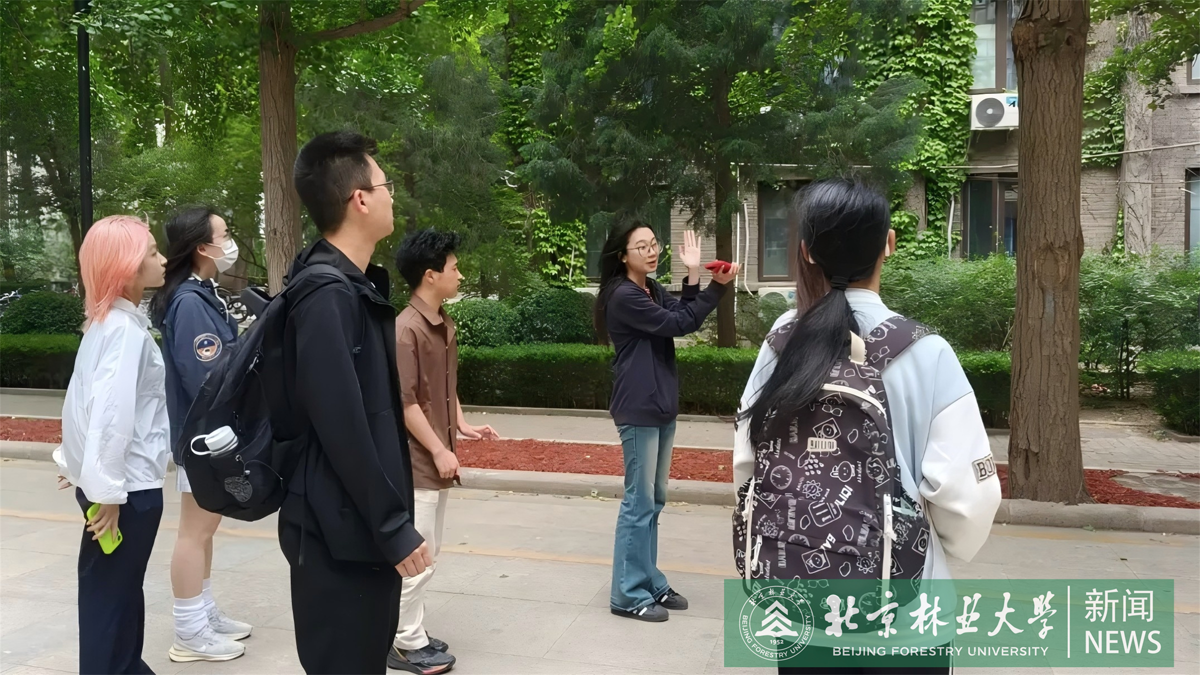 微信图片_20251203092612_361_195.jpg