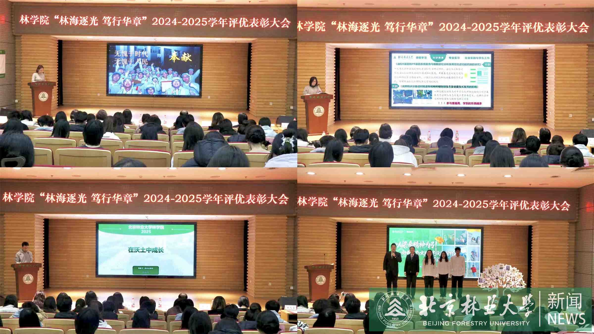 代表发言+展演环节.jpg
