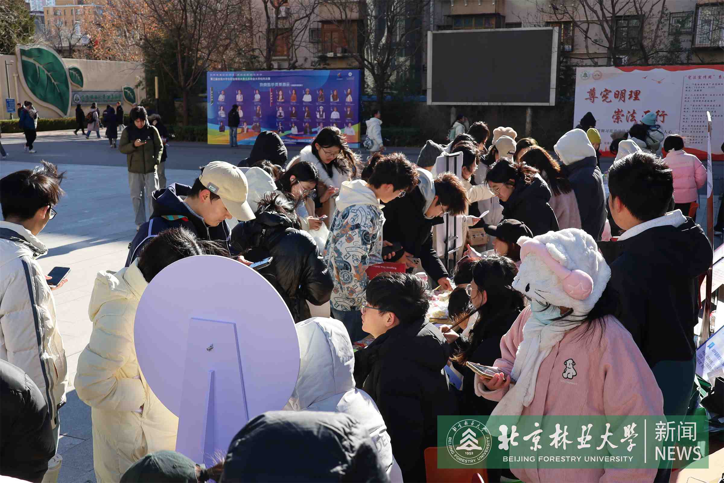 市集现场.JPG