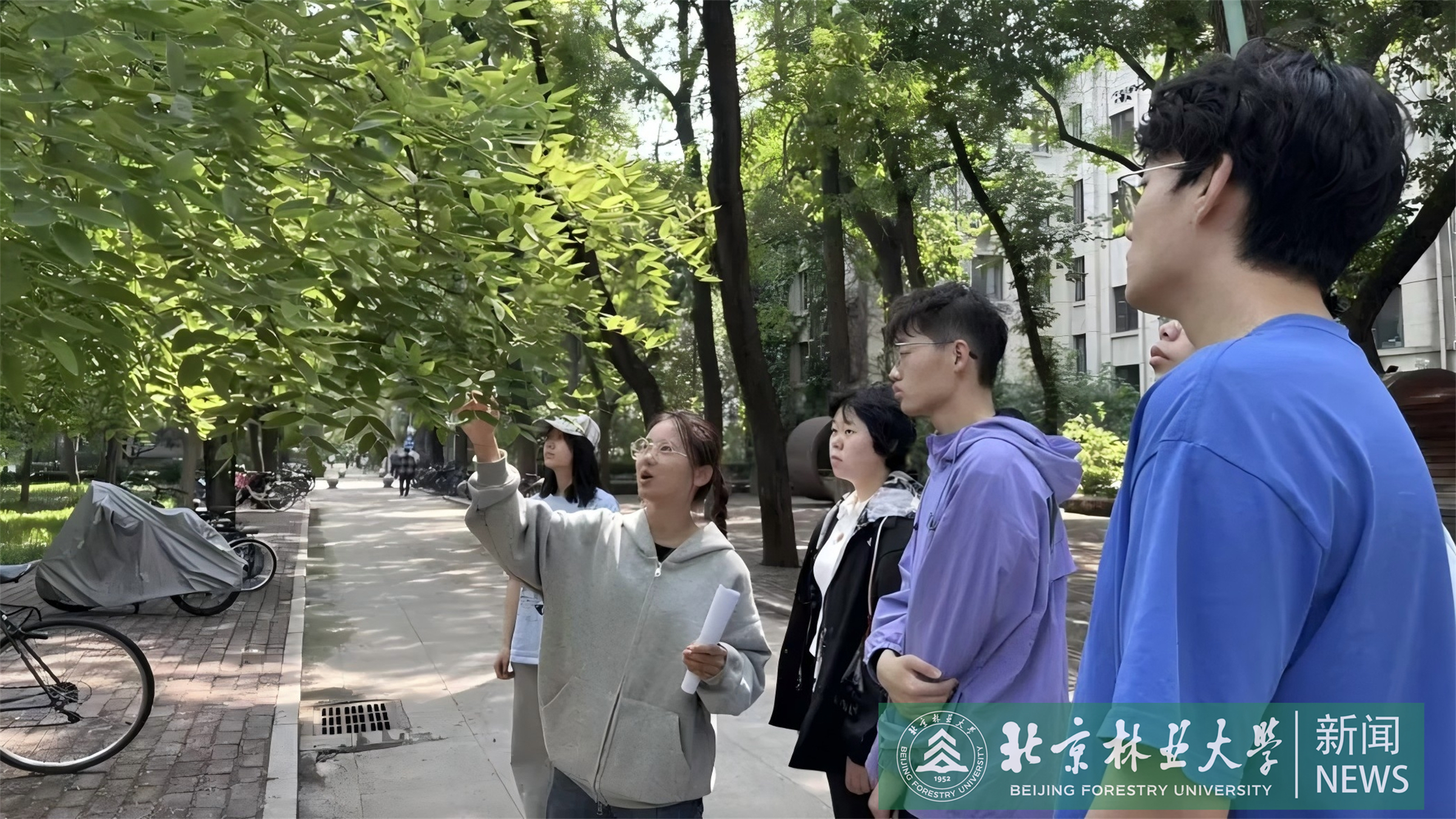 微信图片_20251203092638_362_195.jpg