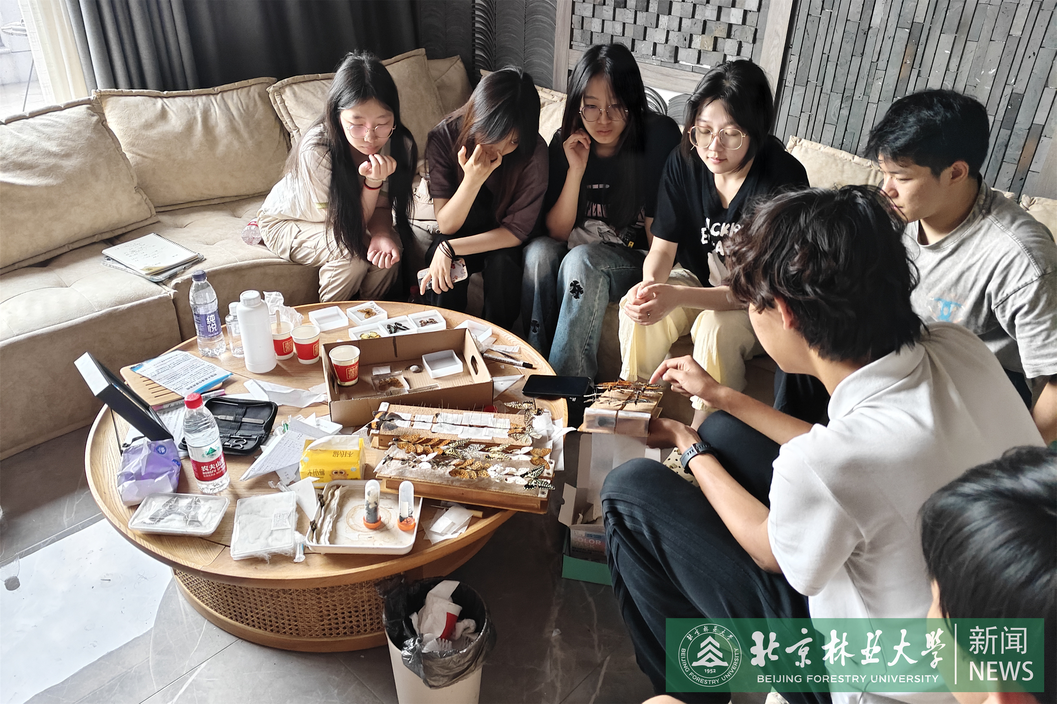 图五-2.jpg