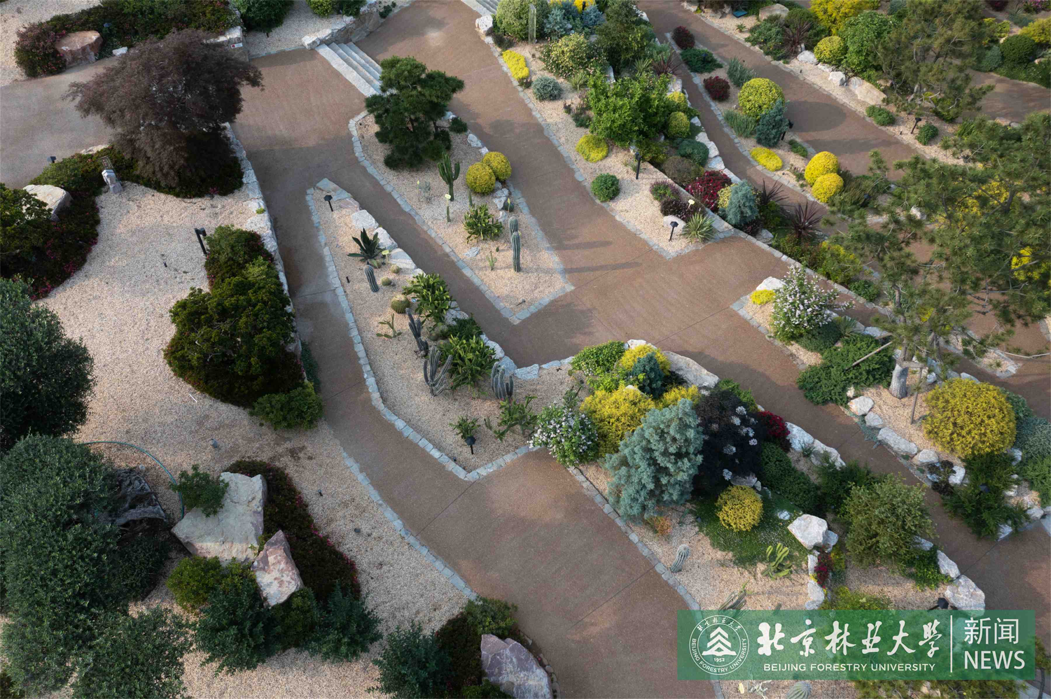 Holi河狸-景观摄影-14.jpg