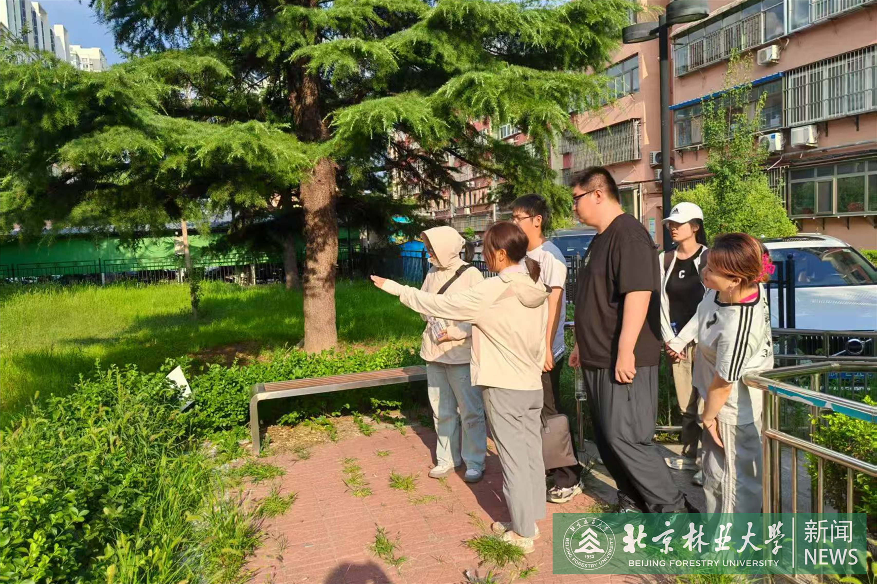 图二-2.jpg