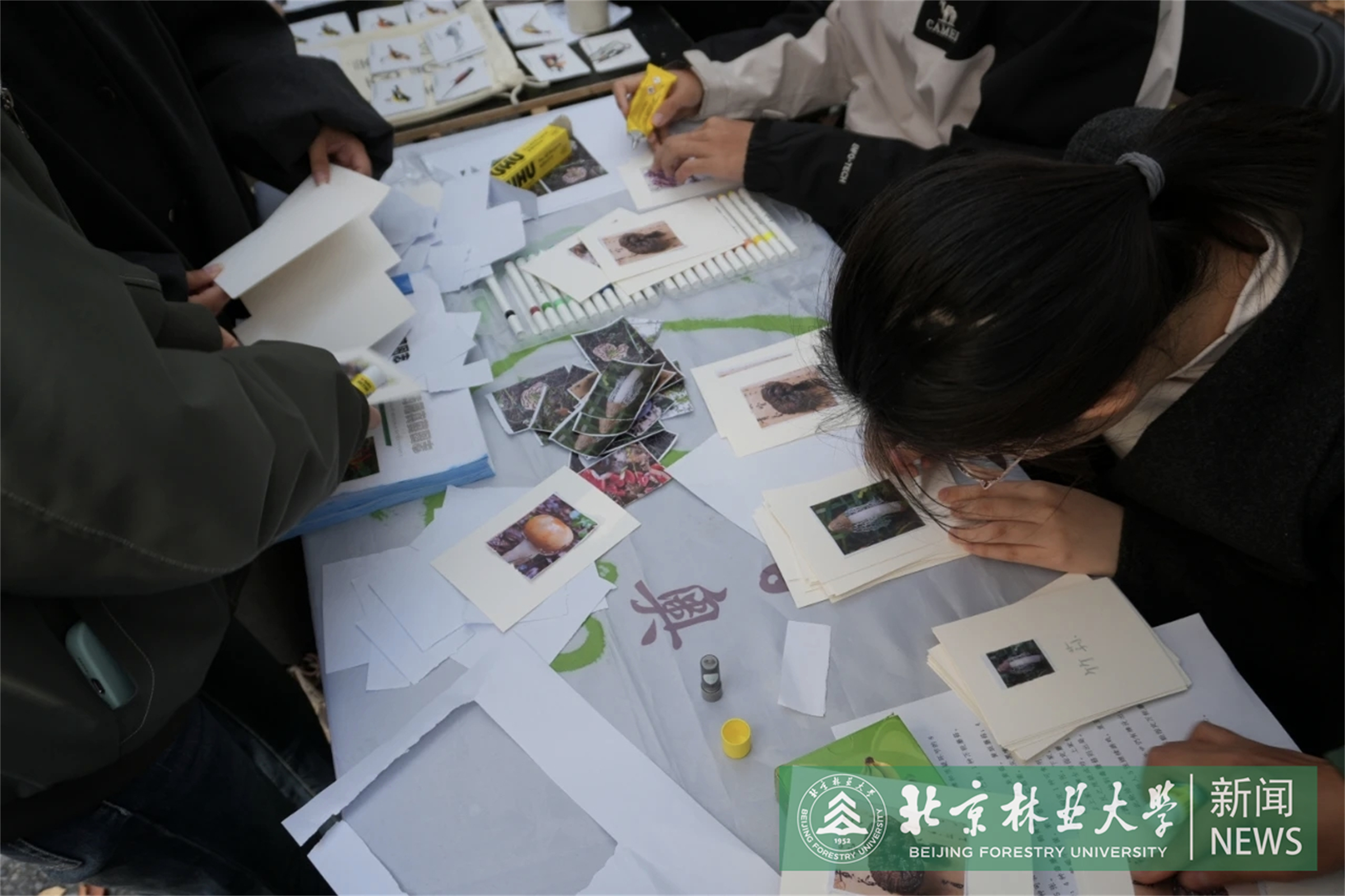3-社团开展活动.jpg
