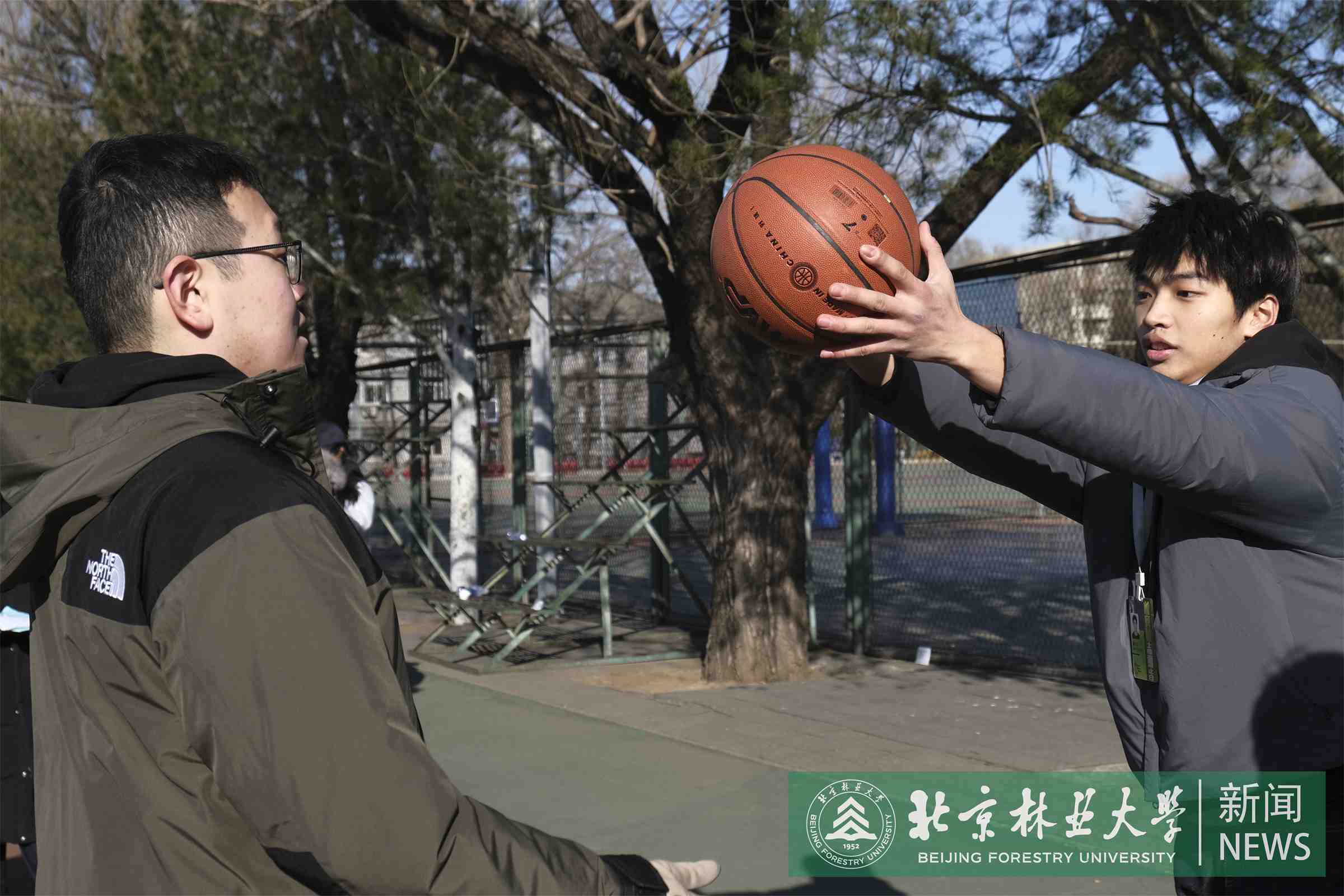 逗你一回项目.jpg