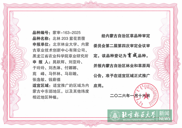 20260131_194959 - 副本.png