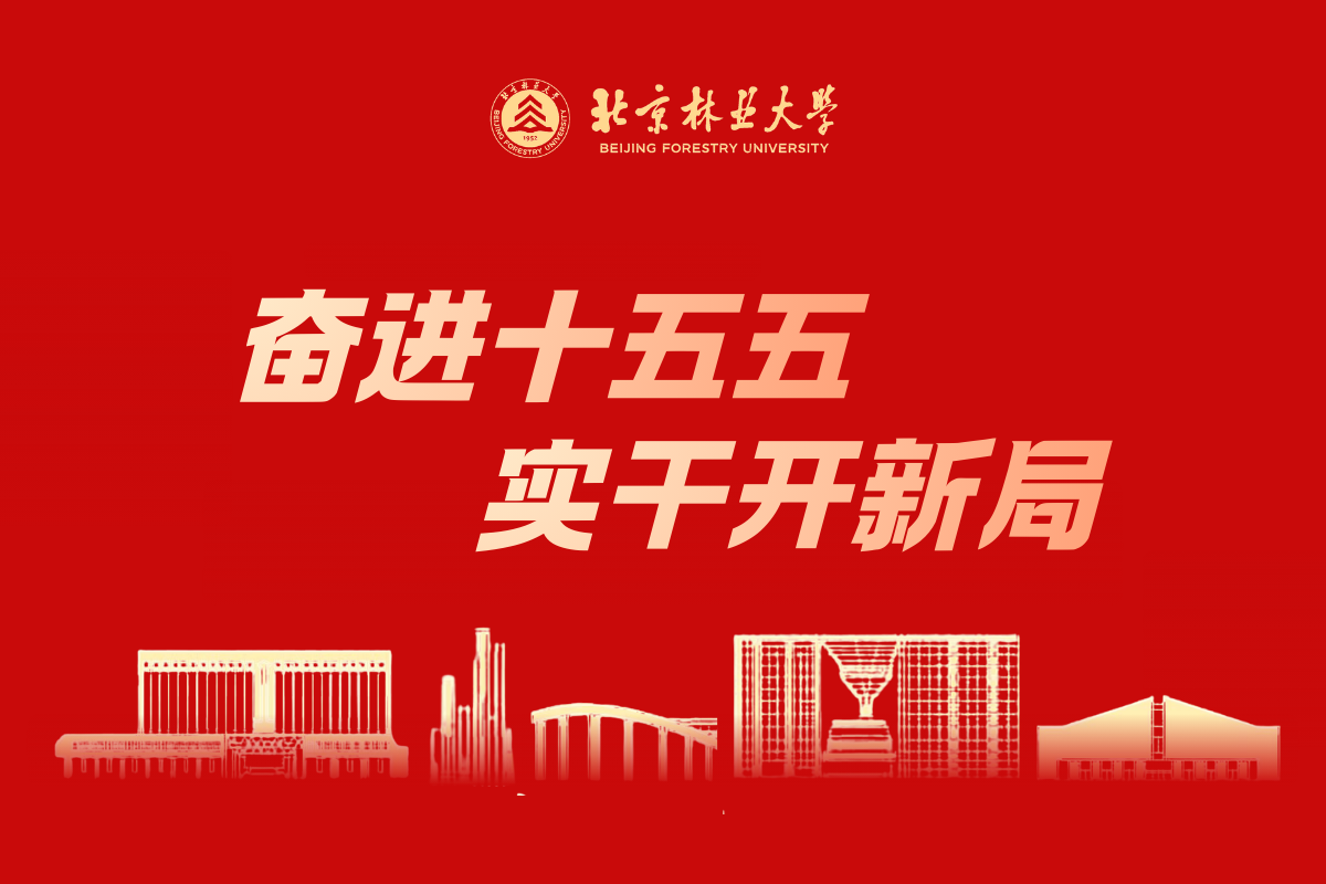             奋进十五五 实干开新局
    