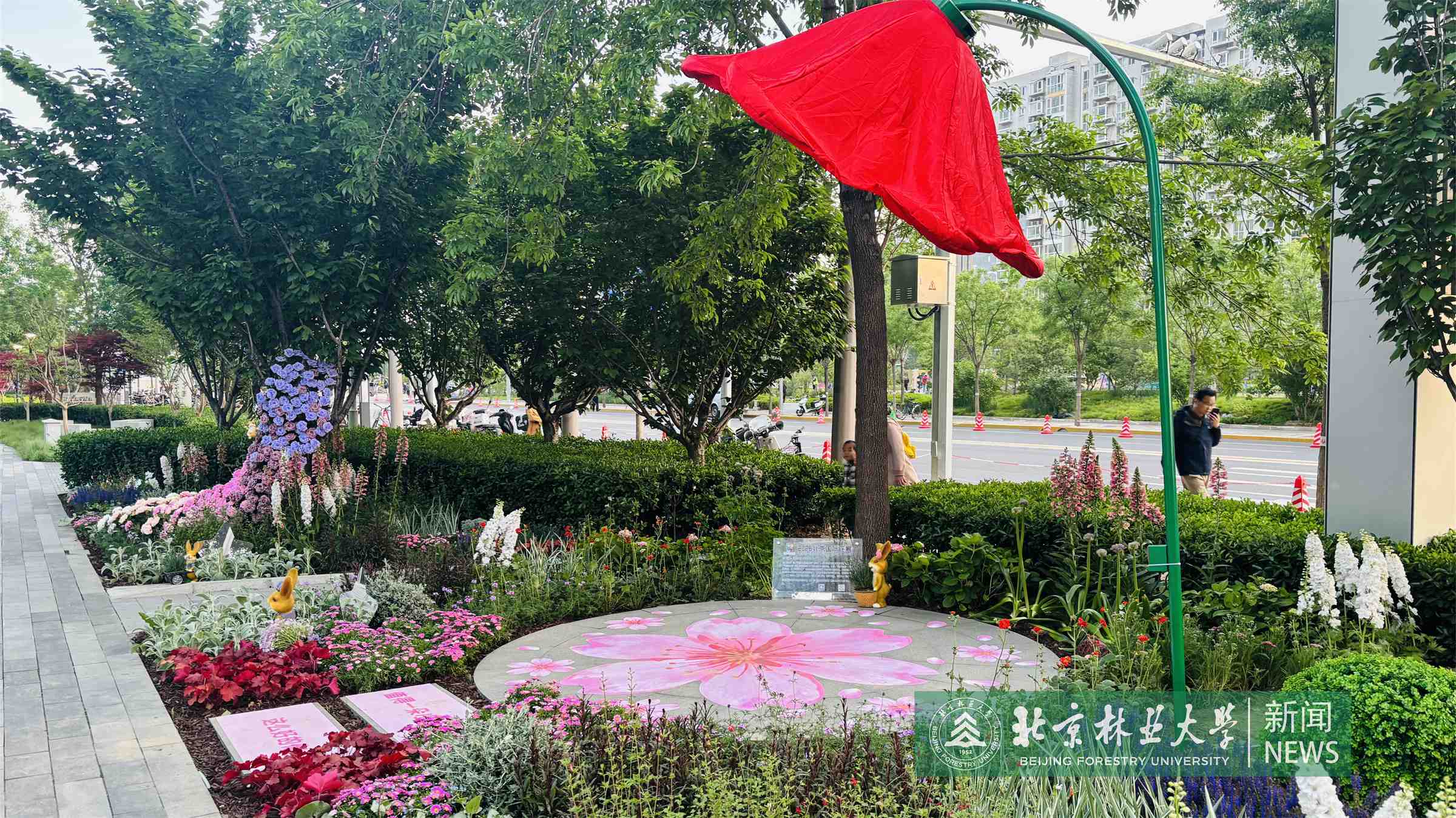 微信图片_20260520132942_17_385.jpg