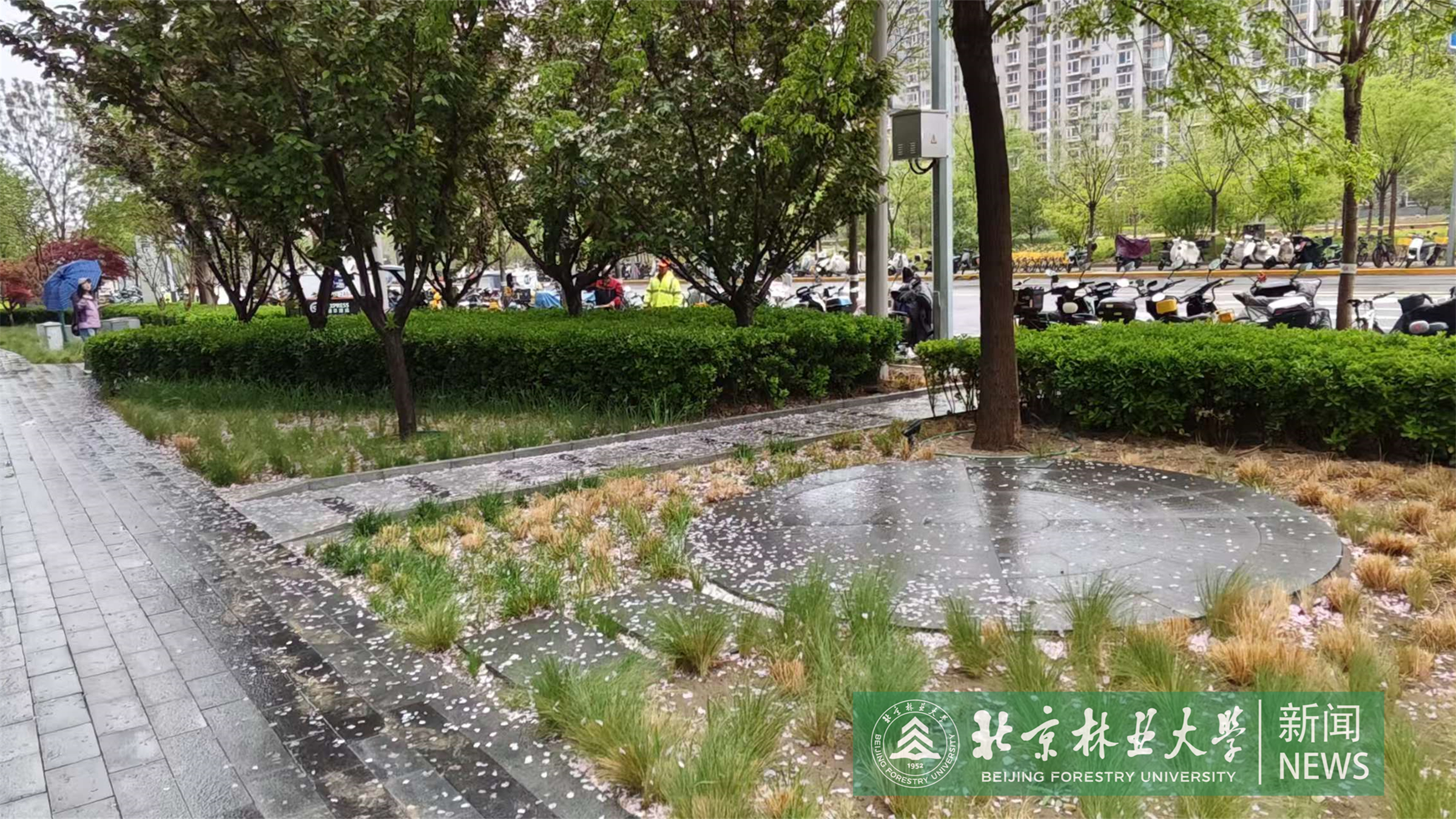 微信图片_20260520132936_16_385.jpg