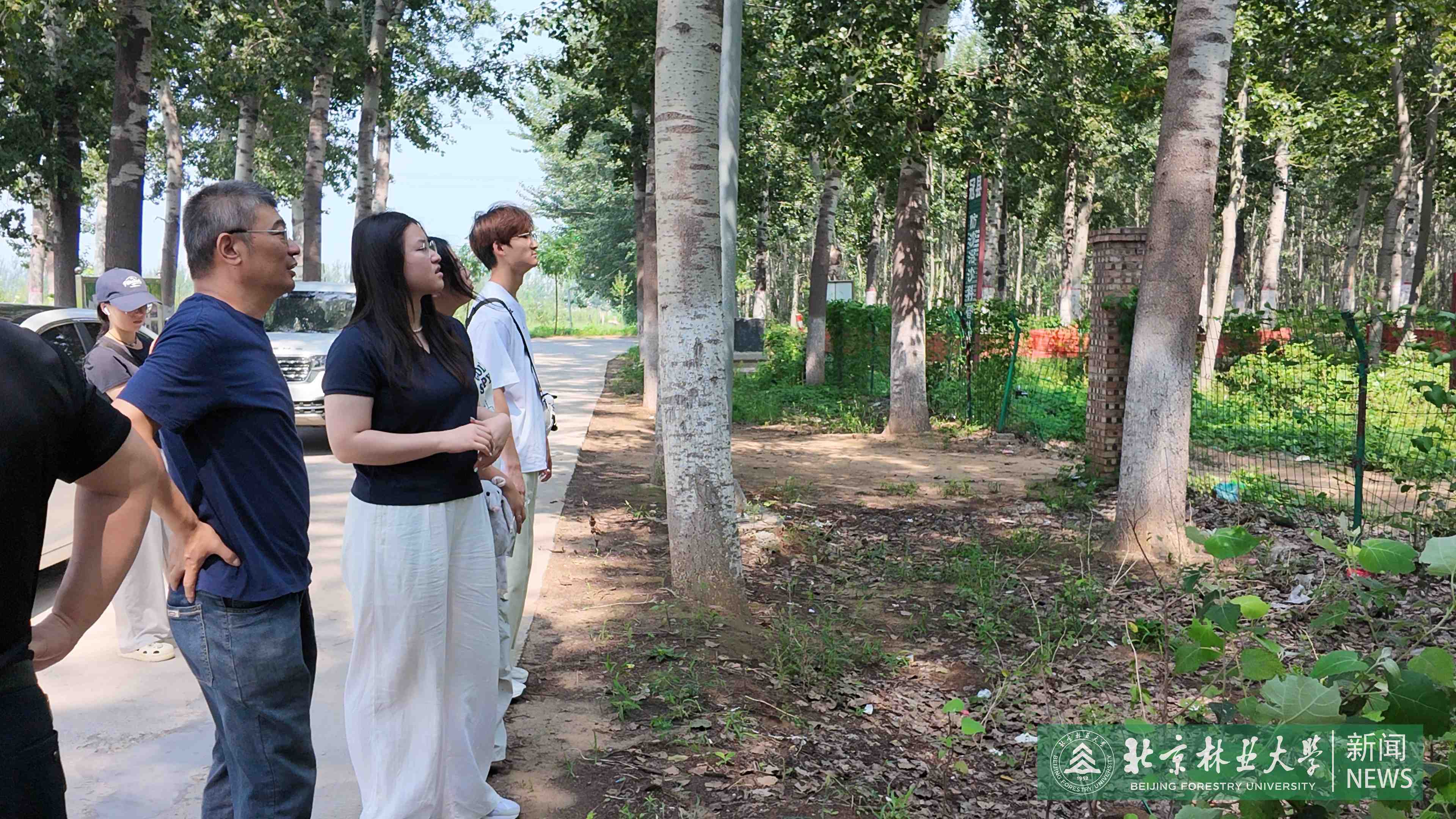 实践团在冠县毛白杨种质资源库参观学习.JPG