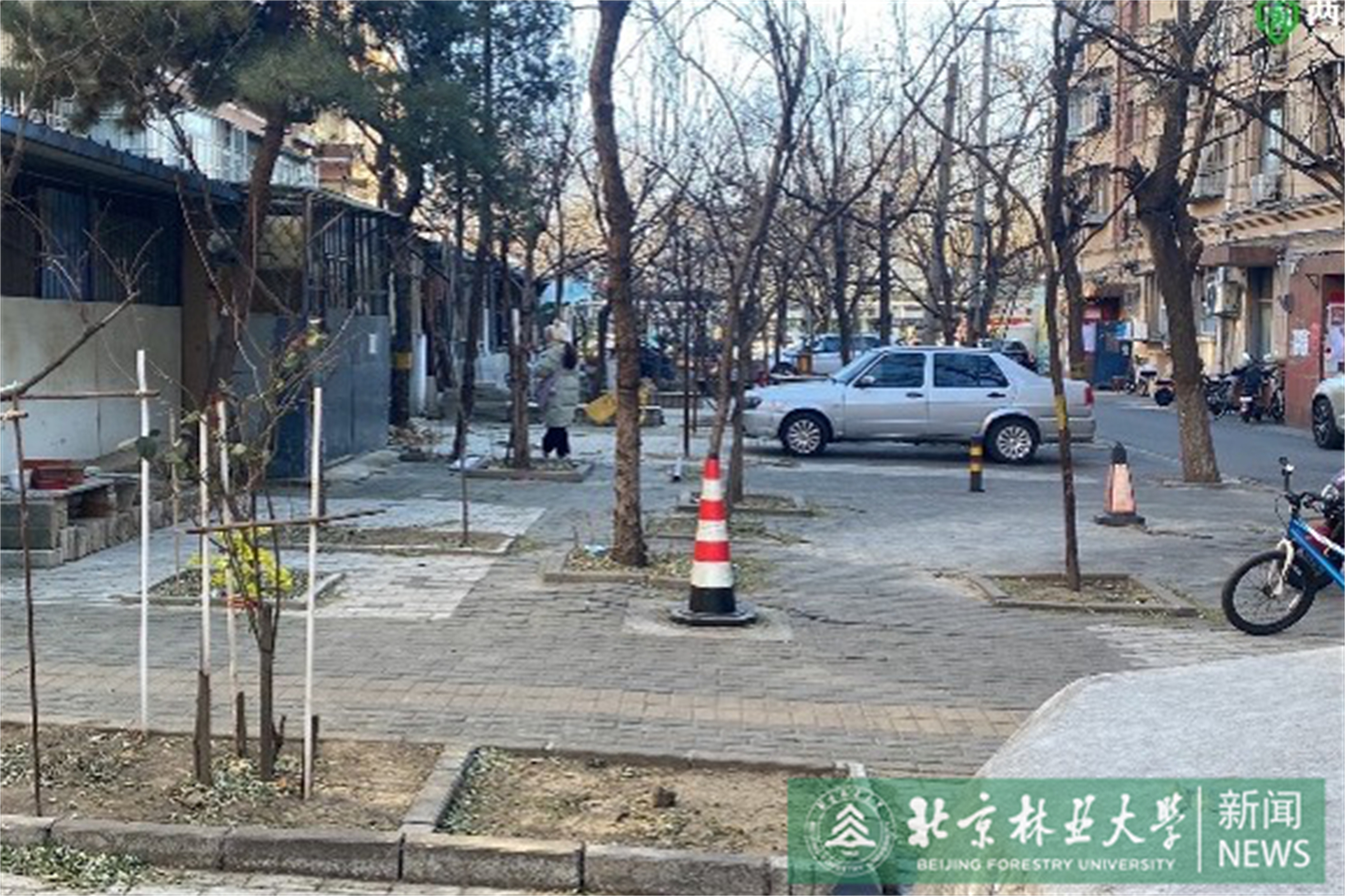 3乐学花园改造前.jpg
