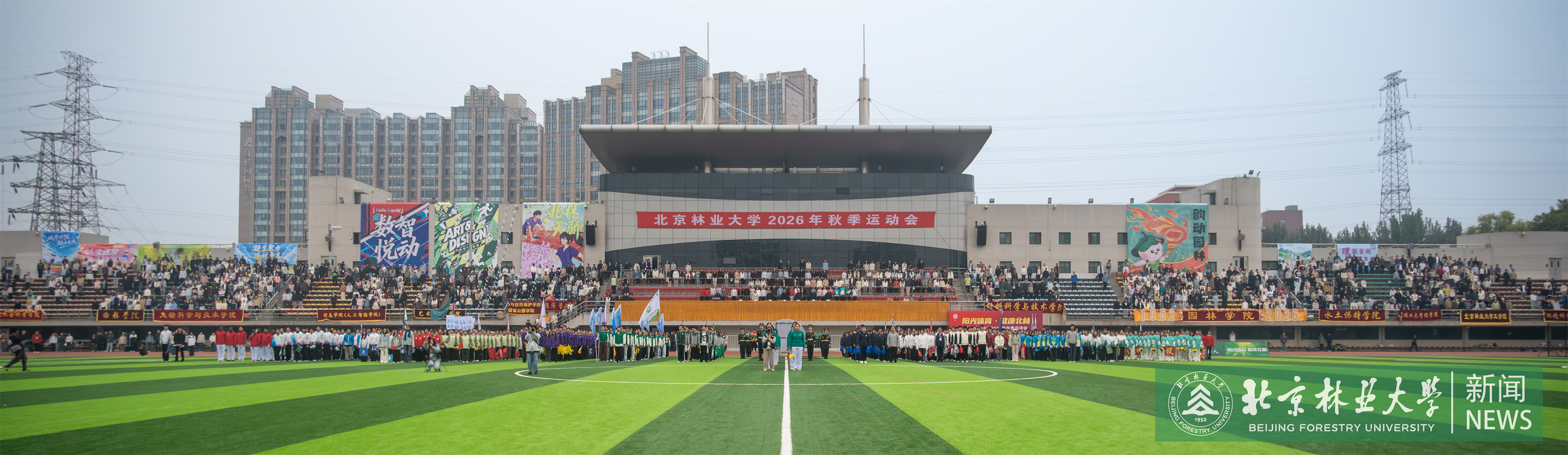 DSC_7601.jpg