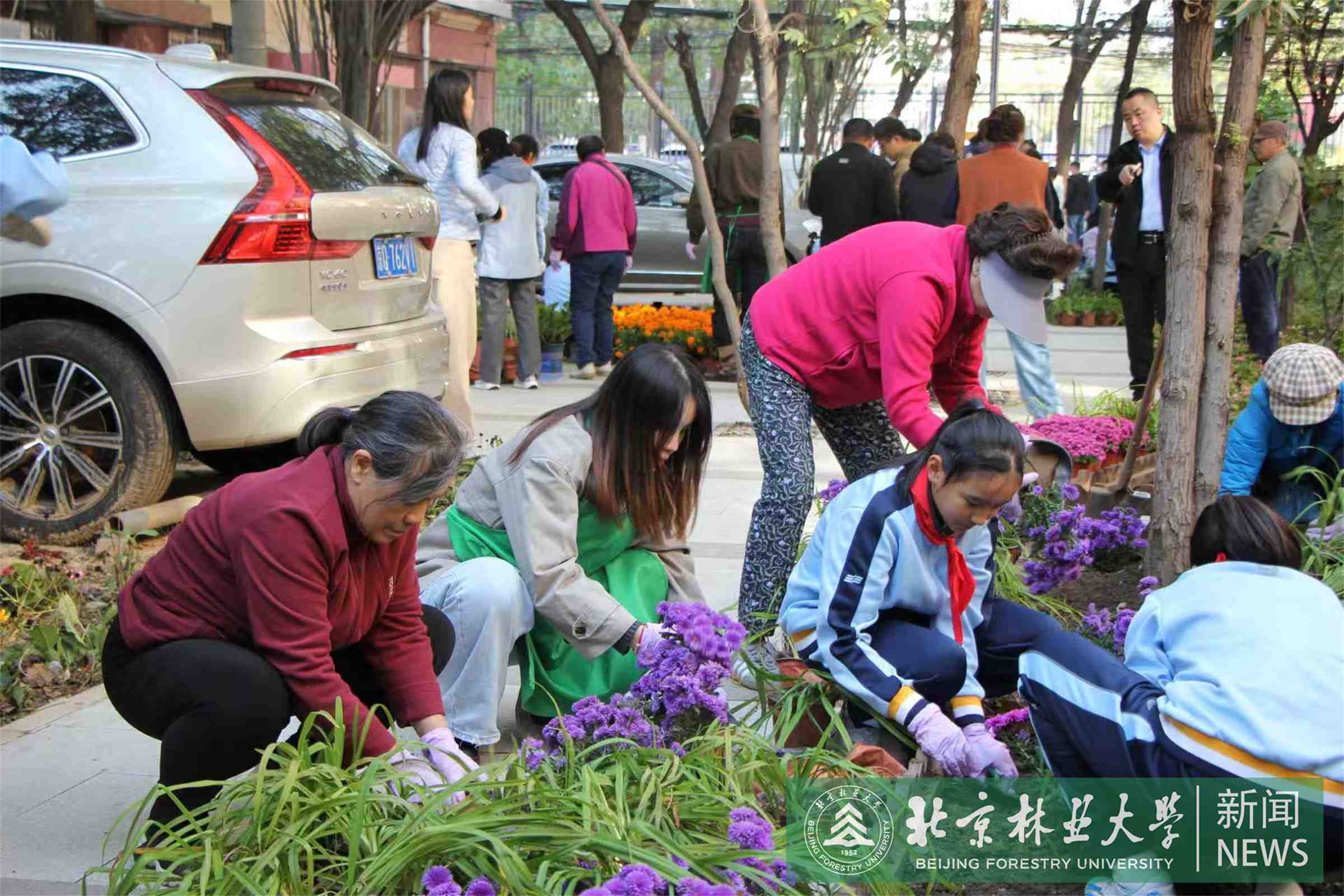 微信图片_20261023105433_1166_1.jpg
