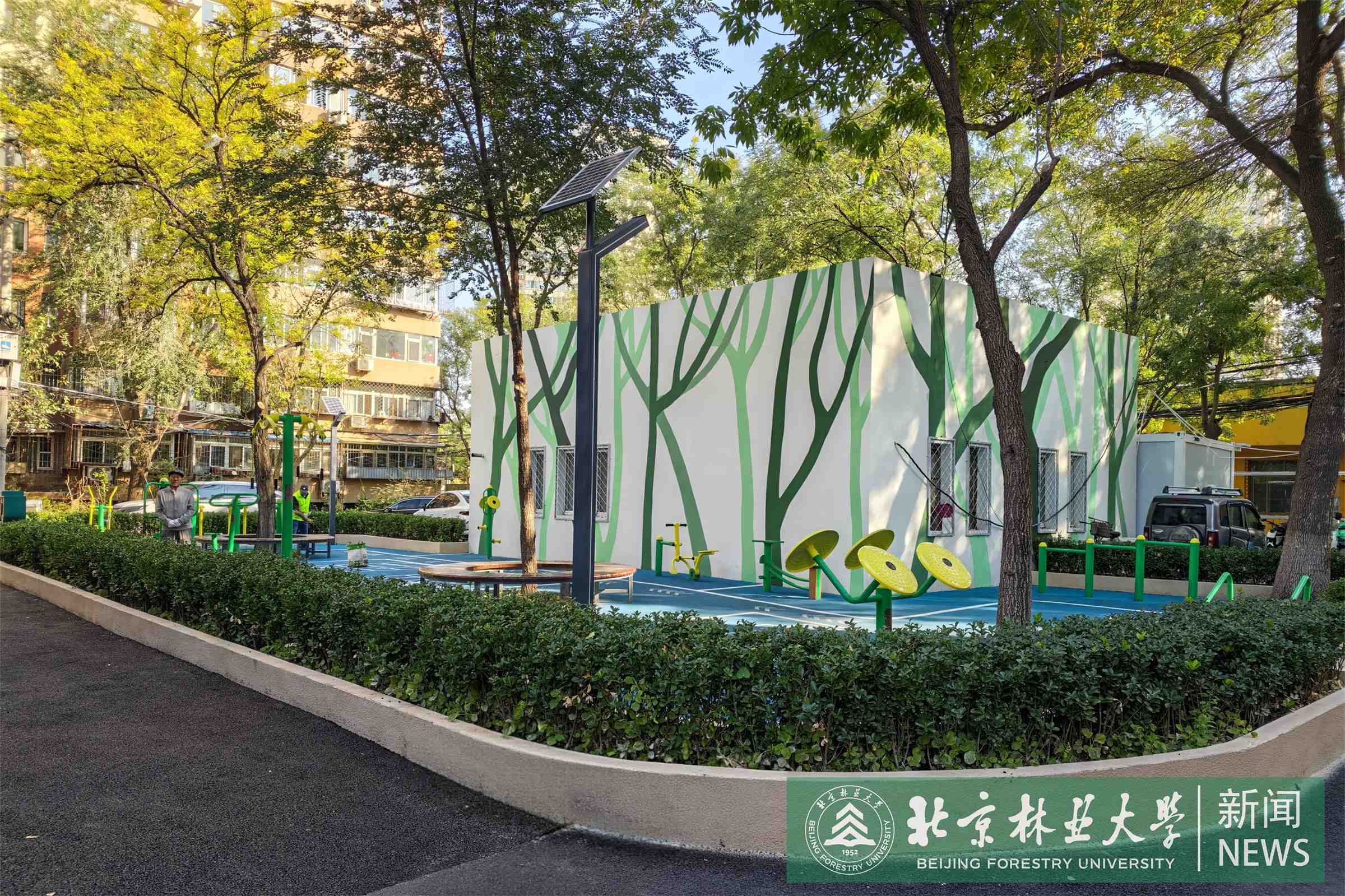 6运动花园改造后.jpg
