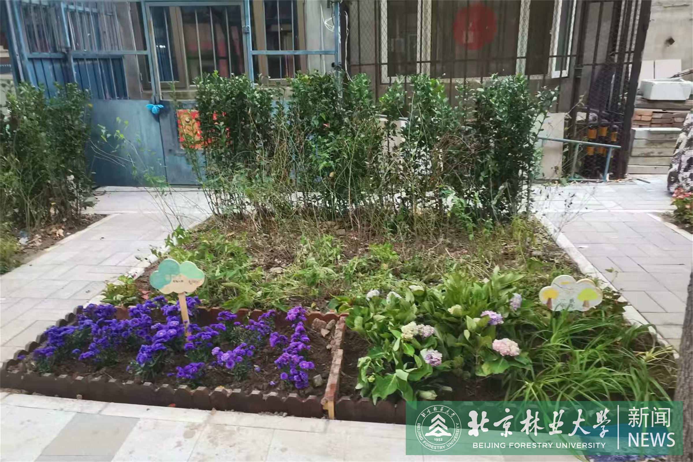 微信图片_20261023091521_1145_1.jpg