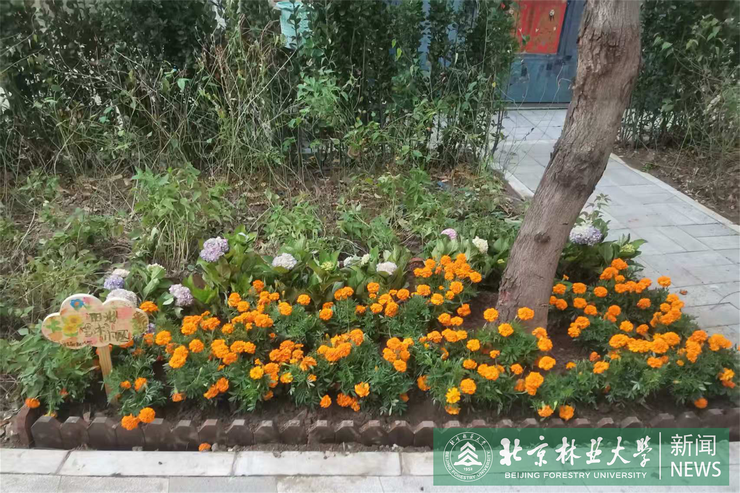 微信图片_20261023091526_1146_1.jpg