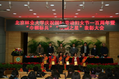 绿色视频172期