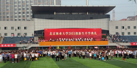 绿色视频193期