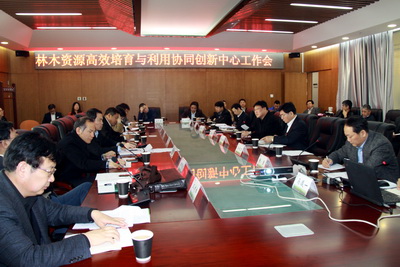 视频新闻273：林木资源高效培育与利用协同创新中心工作会召开